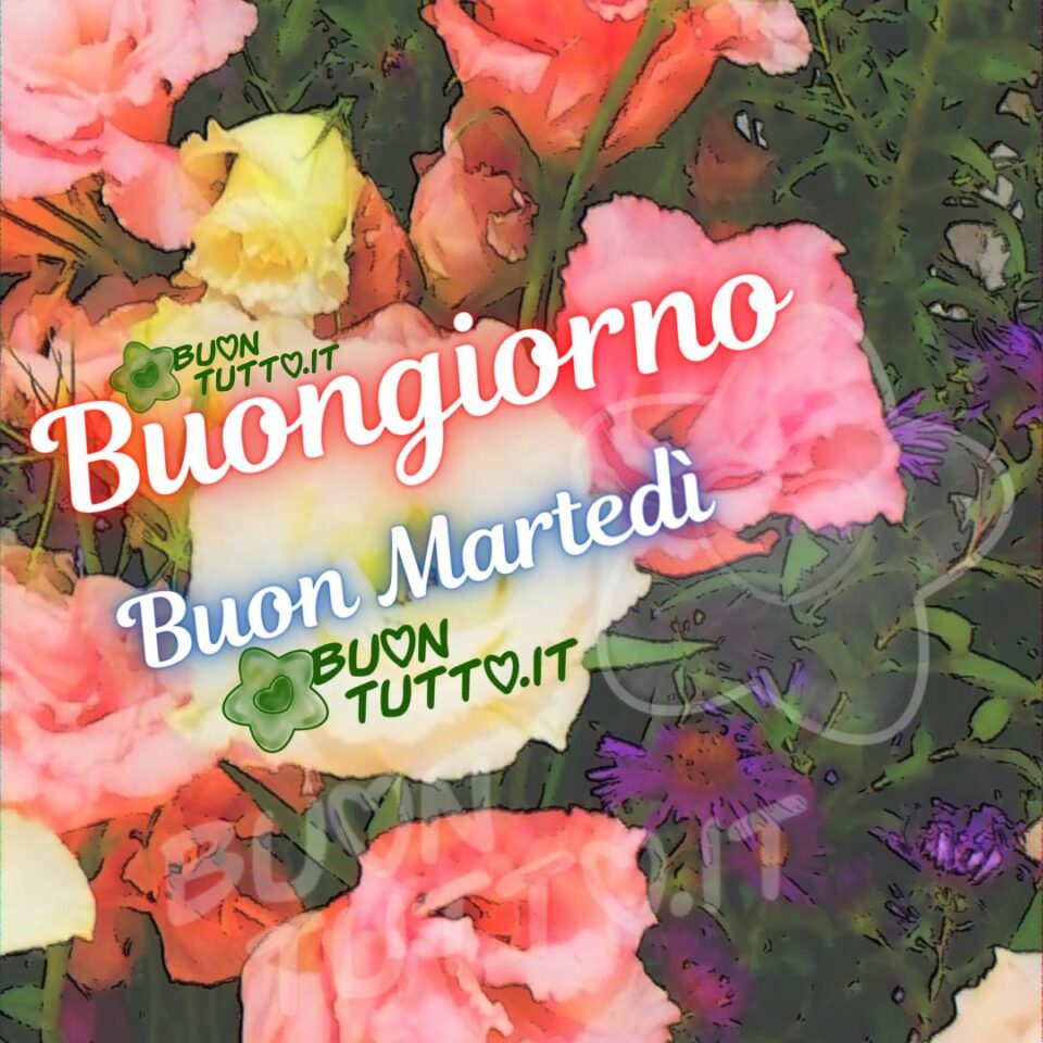 tanti bellissimi fiori colorati per trasmettere la bellezza della natura per augurare il buongiorno e buon martedì da scaricare gratis e condividere con amici parenti gruppi tramite WhatsApp Facebook Twitter Pinterest Telegram Instagram creata da buontutto.it