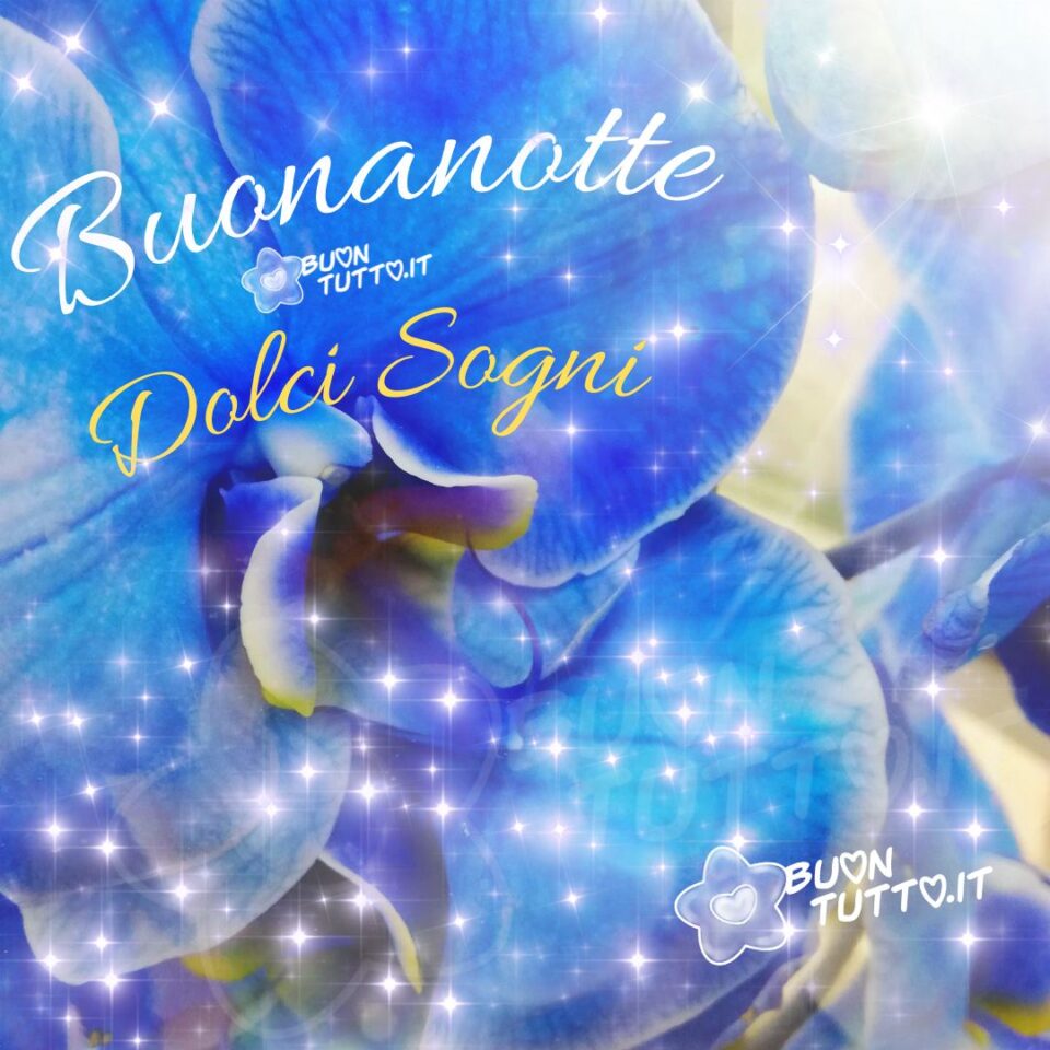 un'immagine stupenda con tantissimi punti luce su una meravigliosa orchidea di un azzurro intenso per augurare buonanotte dolci sogni una raccolta di nuove bellissime Immagini di Buonanotte da scaricare gratis e condividere con amici parenti gruppi tramite WhatsApp Facebook Twitter Pinterest Telegram Instagram create da buontutto.it