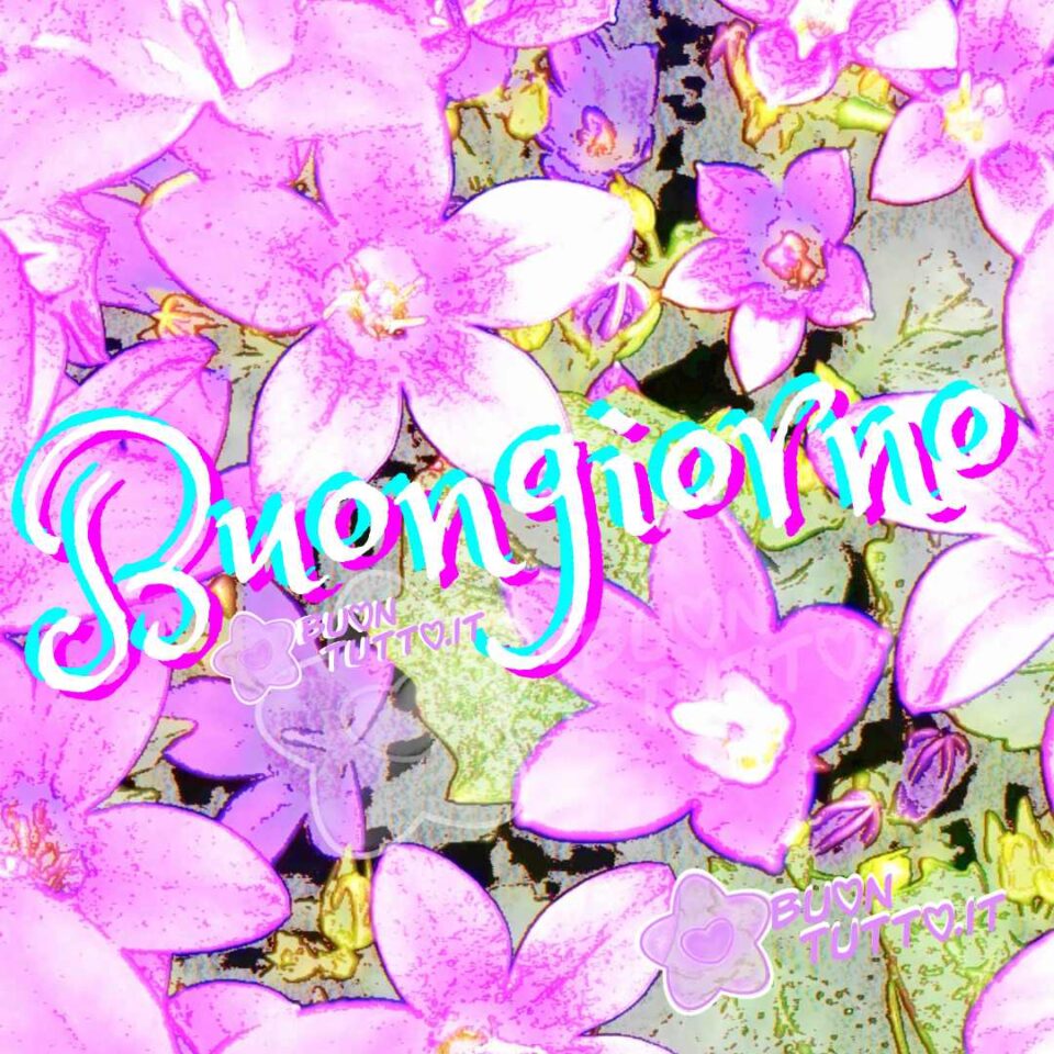 dei magnifici fiori dalle tinte viola chiaro in una suggestiva immagine effetto pastello per augurare il buongiorno da scaricare gratis e condividere con amici parenti gruppi tramite WhatsApp Facebook Twitter Pinterest Telegram Instagram autore buontutto.it