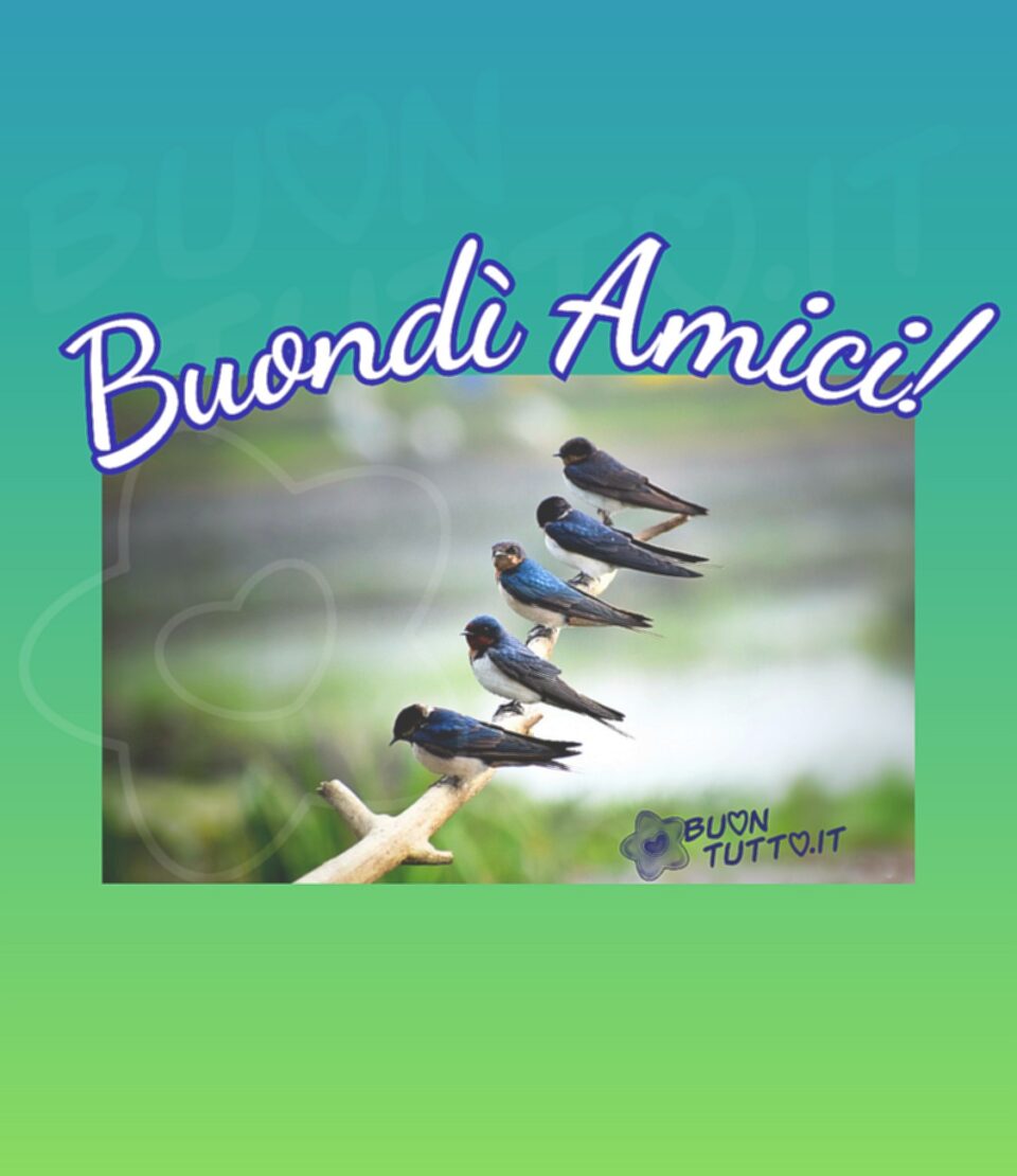 immagine-buongiorno-primaverili-amici-ramo-rondine-cornice-buontutto cornice dalle sfumature verdi-azzurre dentro c'è una foto di un ramo con sopra appoggiate cinque rondini. Sopra l'immagine c'è scritto Buondì Amici! Una raccolta di nuove bellissime Immagini di Buongiorno Primaverili da scaricare gratis e condividere con amici parenti gruppi tramite WhatsApp Facebook Twitter Pinterest Telegram Instagram autore buontutto.it