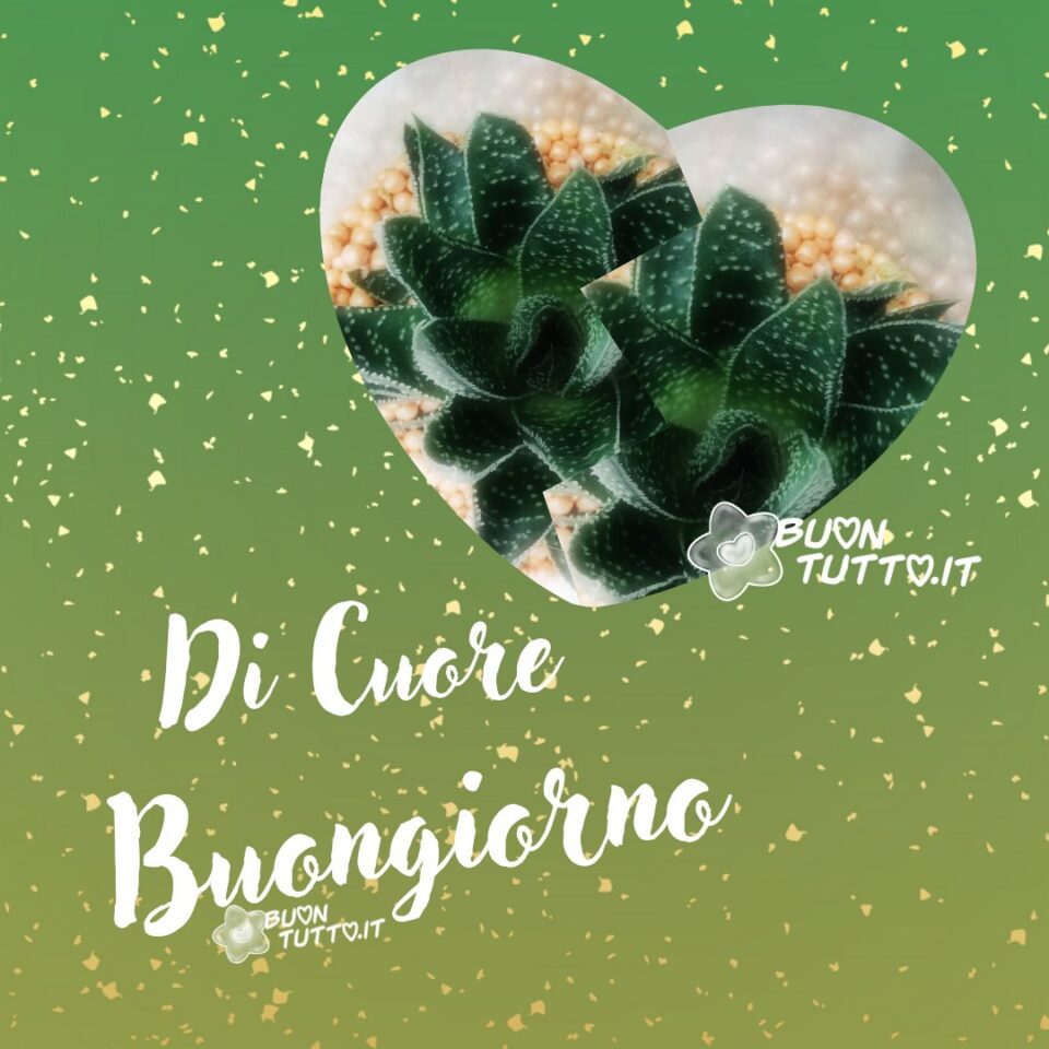 Di-cuore-buongiorno-con-pianta-e-sfondo-sfumato-verde-grassa-buontutto immagine con sfondo dalle sfumature verdi ricoperto di piccole scagliette giallo ocra e una foto di due piccole piante grasse dentro un grande cuore per augurare di cuore il buongiorno da scaricare gratis e condividere con amici parenti gruppi tramite WhatsApp Facebook Twitter Pinterest Telegram Instagram autore buontutto.it