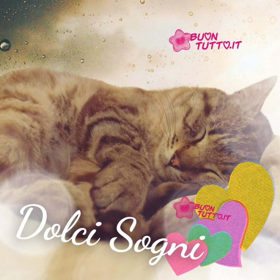 un bellissimo gatto dal pelo tigrato  marroncino che dorme serenamente con uno sfondo bianco verde scuro sfumato con tante goccioline con quattro cuori di diversi dimensioni e dai colori rosa verde lilla giallo con un trama tipo tela per augurare dolci sogni da scaricare gratis e condividere con amici parenti gruppi tramite WhatsApp Facebook Twitter Pinterest Telegram Instagram create da buontutto.it