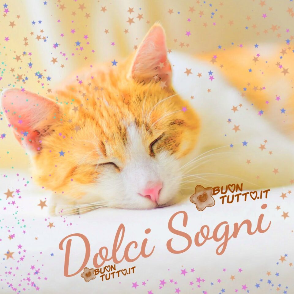 un dolcissimo gattino che dorme serenamente con tantissime stelline tutt'intorno di vari colori verdi celesti rosa albicocca per augurare dolci sogni da scaricare gratis e condividere con amici parenti gruppi tramite WhatsApp Facebook Twitter Pinterest Telegram Instagram create da buontutto.it