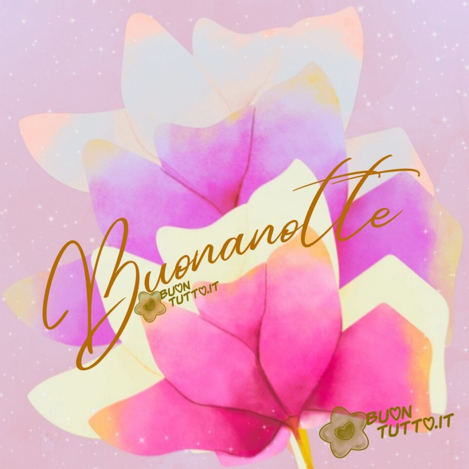 una bellissima immagine di fiori rosa in uno sfondo lilla sfumato con tantissime piccole stelle che tramettono serenità per augurare la buonanotte una raccolta di nuove bellissime Immagini di Buonanotte da scaricare gratis e condividere con amici parenti gruppi tramite WhatsApp Facebook Twitter Pinterest Telegram Instagram create da buontutto.it