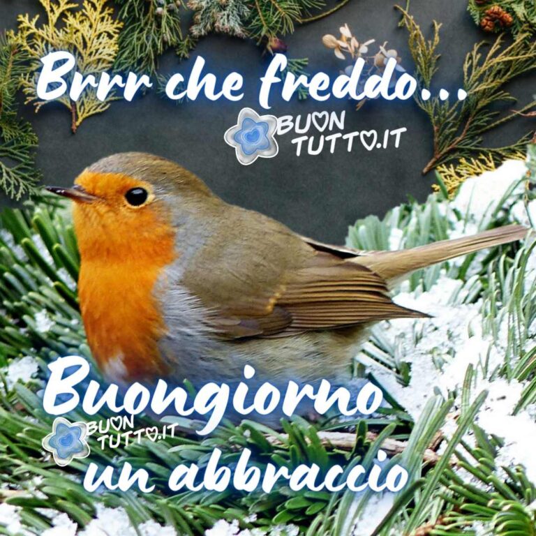 National Tree Ghirlanda Natalizia Pino Invernale 2,7 M - Pre-illuminata Con Pigne E Bacche, Aghi Ipoallergenici, Per Interni Ed Esterni