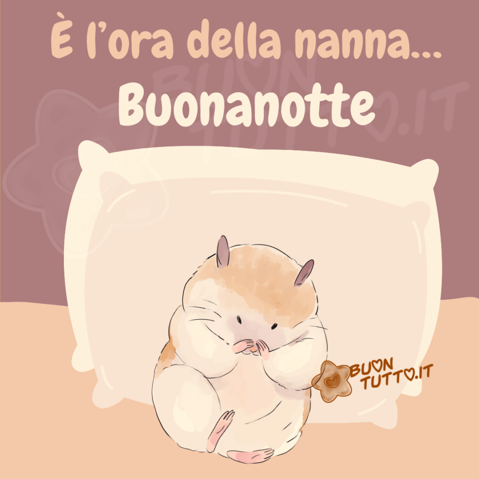  disegno per augurare la buonanotte di un piccolo e dolce criceto appoggiato sopra due morbidi cuscini che si strofina gli occhi per il sonno nell'immagine c'è scritto è l'ora della nanna buonanotte immagini di Buonanotte una raccolta di nuove bellissime da scaricare gratis e condividere con amici parenti gruppi tramite WhatsApp Facebook Twitter Pinterest Telegram Instagram creata da buontutto.it