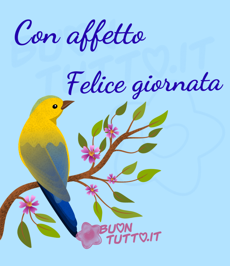 disegno su uno sfondo celeste chiaro di un bellissimo uccello di colore giallo e azzurro appoggiato su un ramo fiorito. Sopra l'immagine c'è scritto con affetto Felice giornata. Una raccolta di nuove bellissime, uniche immagini di Buongiorno Primaverili da scaricare gratis e condividere con amici parenti gruppi tramite WhatsApp Facebook Twitter Pinterest Telegram Instagram autore buontutto.it