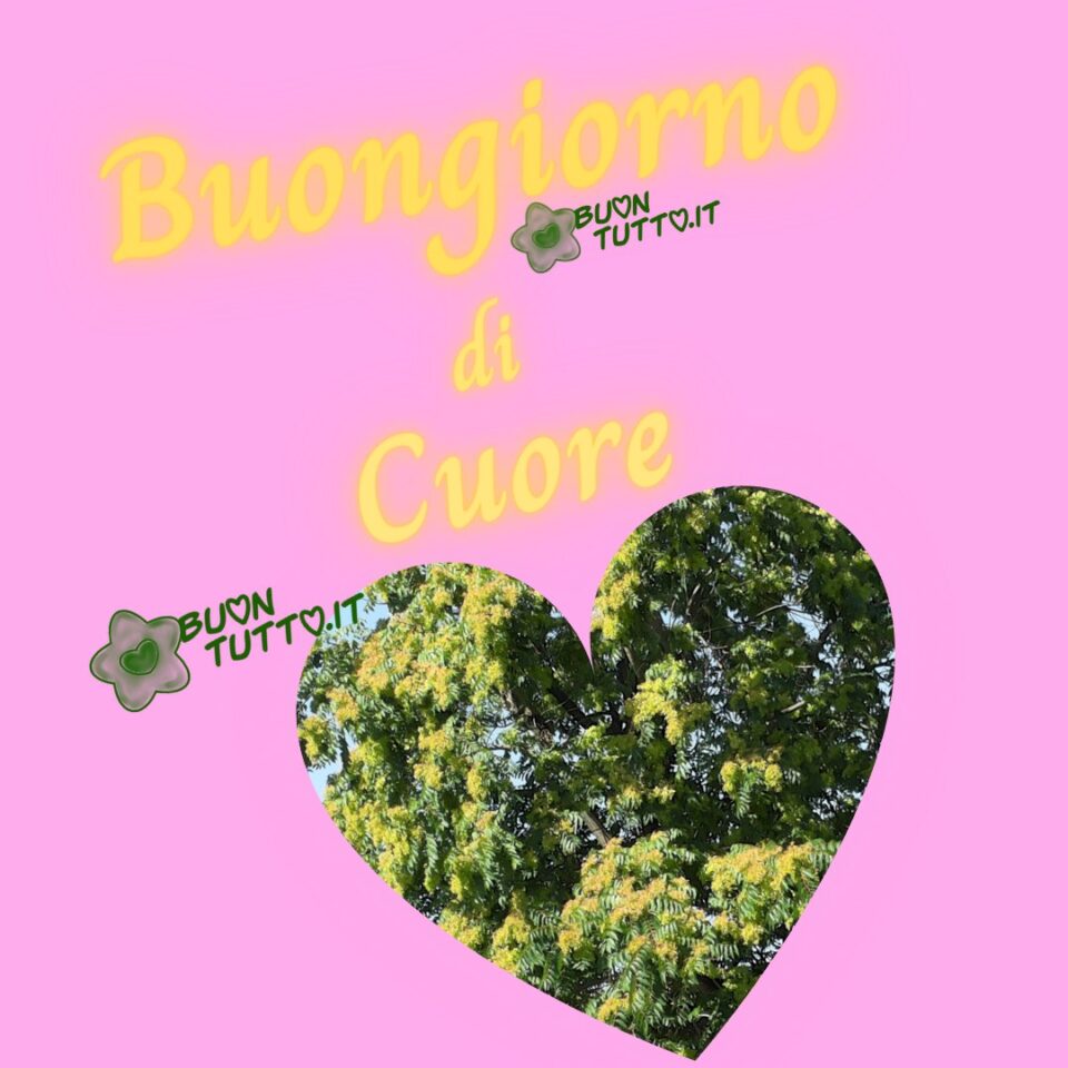 Buongiorno-di-cuore-e-alberi-buontutto immagine con sfondo dalle sfumature rosa e una foto di rami con foglie di un albero inserita in un grande cuore per augurare il buongiorno di cuore da scaricare gratis e condividere con amici parenti gruppi tramite WhatsApp Facebook Twitter Pinterest Telegram Instagram creata da buontutto.it