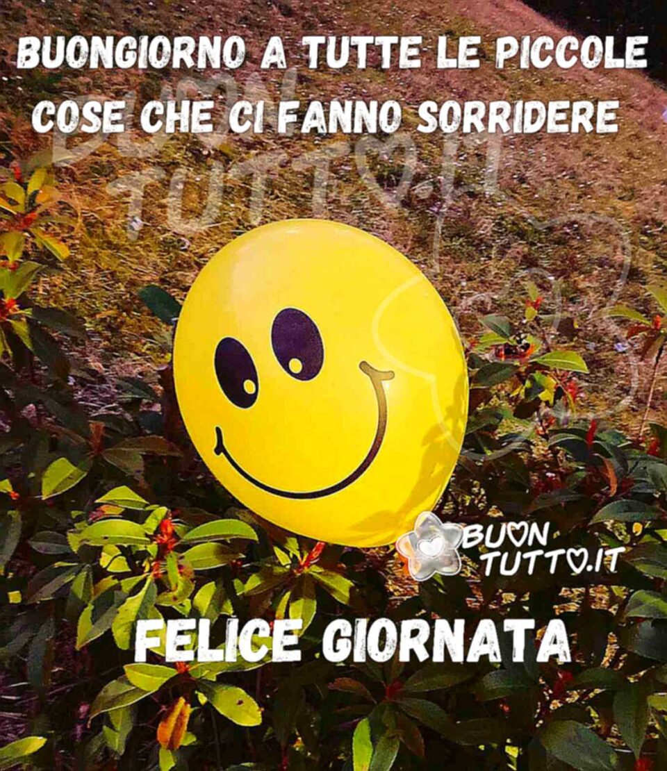 foto di una pianta con foglie verdi sopra di essa c'è appoggiato un palloncino giallo con una faccina sorridente che trasmette allegria. Sopra l'immagine c'è scritto Buongiorno a tutte le piccole cose che ci fanno sorridere! Felice giornata! Una raccolta di nuove bellissime Immagini di Buongiorno da scaricare gratis e condividere con amici parenti gruppi tramite WhatsApp Facebook Twitter Pinterest Telegram Instagram autore buontutto.it