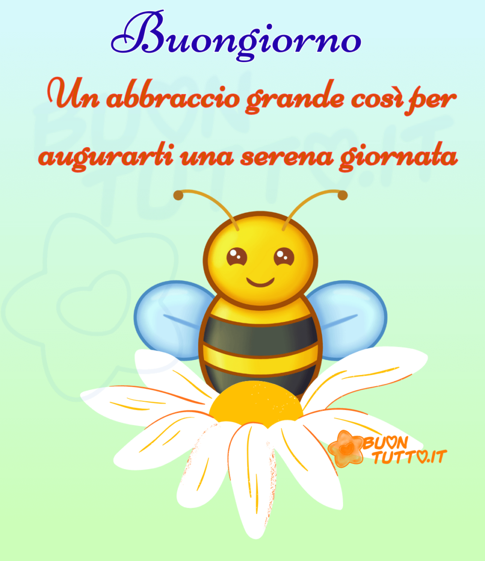 uno sfondo celeste e verde di una dolce ape con le ali aperte appoggiata sopra una margherita esclama, buongiorno un abbraccio grande cosi per augurarti una serena giornata. Una raccolta di nuove bellissime Immagini Buongiorno Primaverili da scaricare gratis e condividere con amici parenti gruppi tramite WhatsApp Facebook Twitter Pinterest Telegram Instagram autore buontutto.it