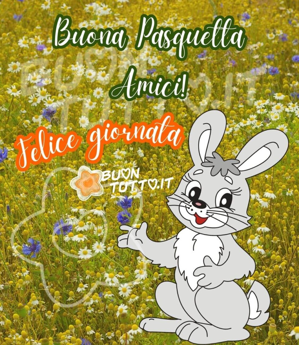 immagini-buona-pasquetta-amici-felice-giornata-prato-fiorito-simpatico-coniglietto-buontutto foto di un prato fiorito con tantissime margherite dai petali bianchi e fiori di colore viola sopra l'immagine c'è disegnato un coniglietto che con la zampa mostra il prato e con il musetto aperto per palare sopra l'immagine c'è scritto Buona Pasquetta amici Felice giornata. Una raccolta di nuove bellissime, uniche immagini di auguri di Buona Pasquetta da scaricare gratis e condividere con amici parenti gruppi tramite WhatsApp Facebook Twitter Pinterest Telegram Instagram autore buontutto.it