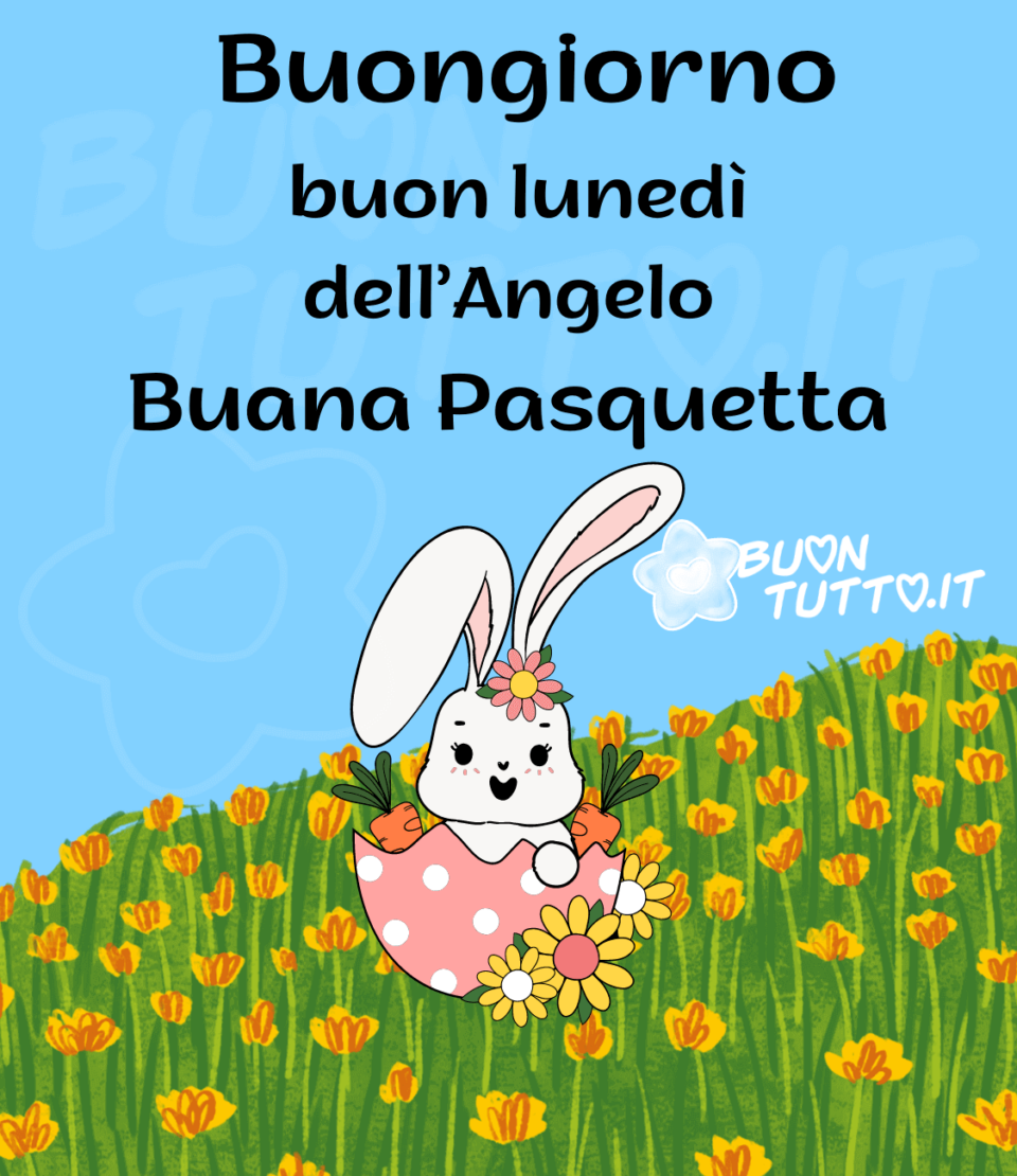 immagini-buona-pasquetta-buongiorno-buon-lunedi-dell-angelo-prato-fiori-colore-arancione-giallo-buontutto disegno di un prato fiorito con fiori arancione chiaro e scuro e nel centro un parte di metà guscio di uova di pasqua con involucro rosa a pois bianco con sopra tre grandi margherite dai petali gialli e due con il centro bianco e quella centrale con il centro rosa, dentro ci sono due carote e una dolcissima coniglietta sorridente con in testa una margherita dai petali rosa e il centro giallo. Sopra l'immagine c'è scritto Buongiorno Buon lunedì dell'Angelo Buona Pasquetta. Una raccolta di nuove bellissime, uniche immagini di auguri di Buona Pasquetta e Buon lunedì dell'Angelo e buongiorno da scaricare gratis e condividere con amici parenti gruppi tramite WhatsApp Facebook Twitter Pinterest Telegram Instagram autore buontutto.it