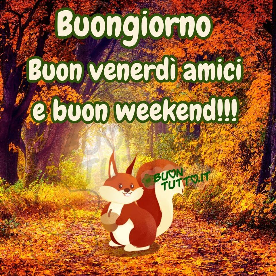 immagini-buongiorno-amici-buon-venerdi-weekend-fine-settimana-natura-bosco-scoiattolino-bellissima-scaricare-gratis-buontutto Foto di un meraviglioso bosco autunnale in cui il sentiero è ricoperto da stupende foglie di colore giallo, rosso ruggine e arancione, sul sentiero c'è inserito il disegno di un dolcissimo scoiattolo che tiene fra le zampine una ghianda e sta attendendo l'arrivo degli amici per salutarti affettuosamente e offrirgli la sua ghianda. Nella parte alta dell'immagine c'è scritto di colore bianco e contorno evidenziato di verde Buongiorno buon venerdì amici e buon weekend!!! Un'immagine bellissima che trasmette amore per la natura, amicizia, bellezza, serenità, forza e pace da scaricare gratis e condividere, in modo particolare con le persone che amano passeggiare in mezzo alla natura, con amici parenti gruppi tramite WhatsApp, Facebook, X Twitter, Pinterest, Telegram, LinkedIn, Instagram e le tue piattaforme social preferite autore buontutto.it