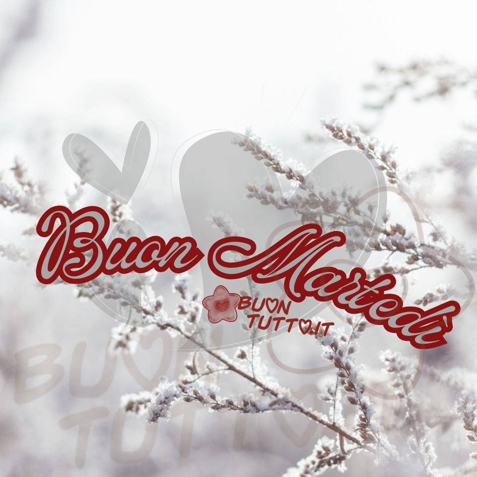 Foto di uno stupendo e delicato ramo innevato posizionato su uno sfondo luminoso sognante dalle sfumature bianche e color perla le quali, trasmettono una sensazione fiabesca e romantica. Nel centro dell'immagine c'è disegnato un grande cuore semi trasparente di colore grigio tenue e sulla sinistra del cuore altri due più piccoli cuori dello stesso colore. Nella parte centrale dell'immagine c'è scritto in forma semi-circolare in un carattere corsivo elegante retrò di colore perla e contorno rosso Buon Martedì. Un'immagine romantica e bellissima che trasmette la bellezza della stagione invernale. Una raccolta di nuove bellissime immagini di Buon Martedì da scaricare gratis e condividere con amici parenti gruppi tramite WhatsApp, Facebook, X Twitter, Pinterest, Telegram, LinkedIn, Instagram e le tue piattaforme social preferite autore buontutto.it