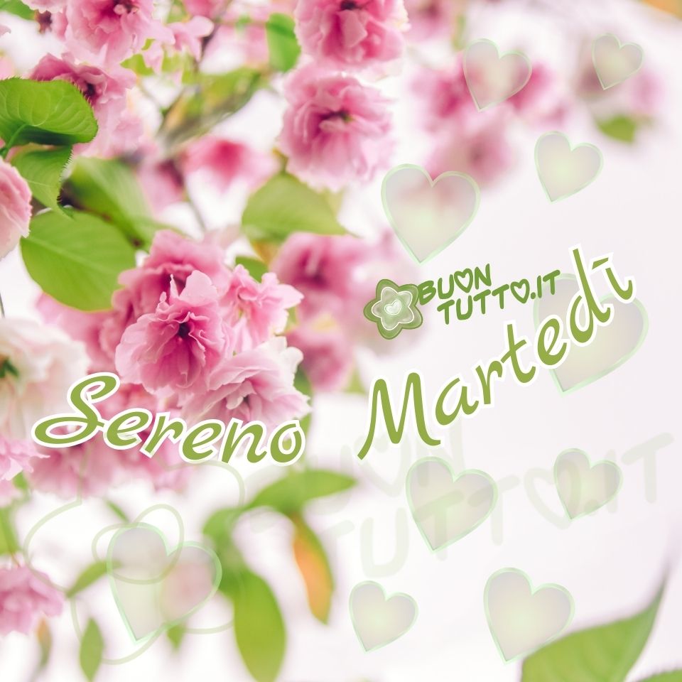 immagini-di-buon-sereno-martedi-bellissima-fiori-romantica-elegante-scaricare-gratis-buontutto Immagini di buon martedì con fiori rosa di pesco e cuori bellissima elegante per augurare sereno martedì creata da buontutto.it