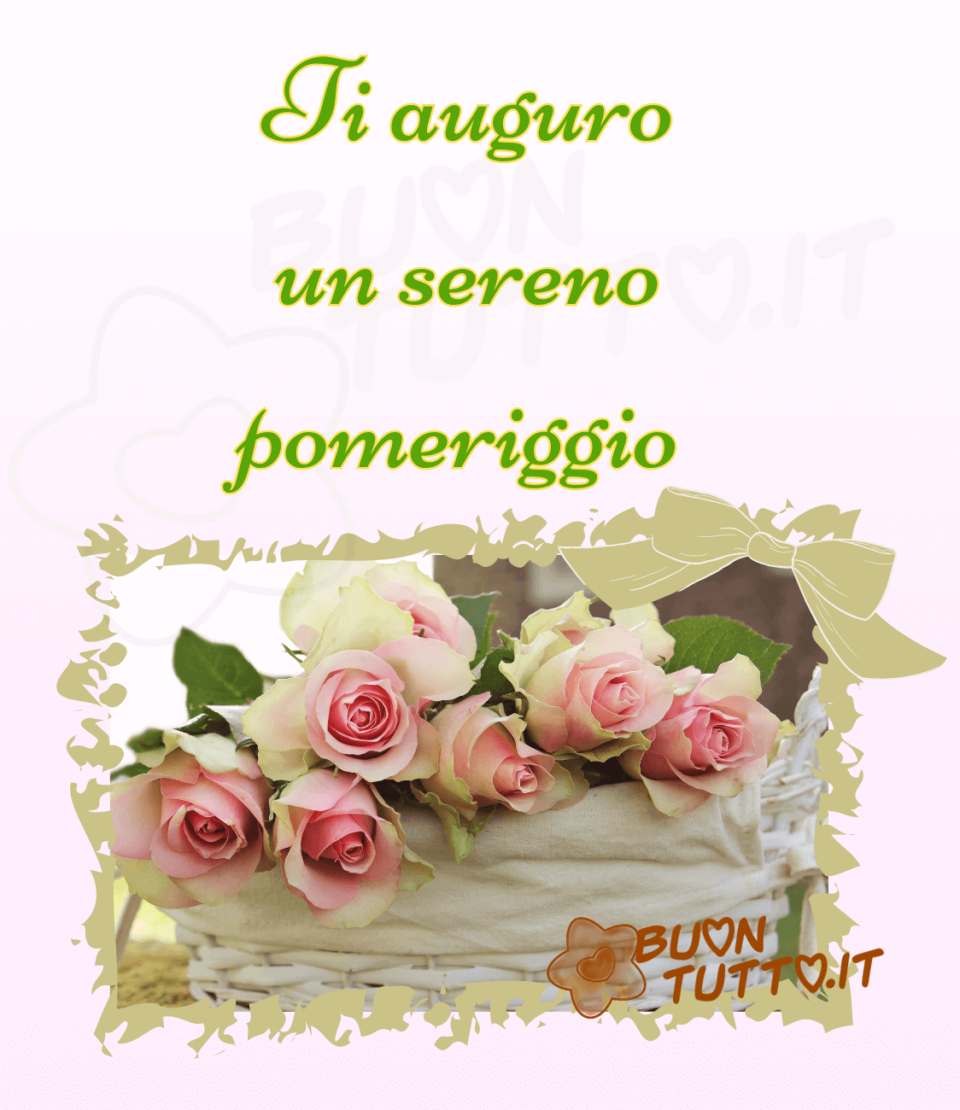 immagini-buon-pomeriggio-sereno-rosa-rosa-cestino-fiocco-avorio-buontutto foto di un cesto di vimini bianco che all'interno è rivestito di cotone color cremino chiaro con dentro un mazzo di boccioli di rosa rosa dalle sfumature avorio inserito in una cornice frastagliata di colore beige chiaro, nell'angolo a destra della cornice c'è disegnato un bellissimo fiocco dello stesso colore ma con contorni bianchi. Lo sfondo è sfumato di rosa tenue e in alto c'è scritto Ti auguro un sereno pomeriggio di colore verde con contorni dorati. Un'immagine che trasmette tanta serenità da scaricare gratis e condividere con amici parenti gruppi tramite WhatsApp Facebook Twitter Pinterest Telegram Instagram autore buontutto.it