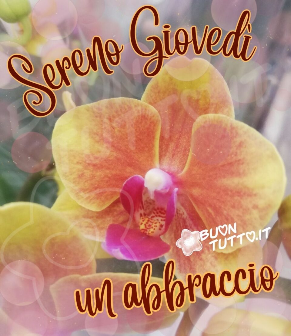 foto in primo piano di una meravigliosa orchidea dalle sfumature magenta con sopra sfumature di tante luci colorate che creano un effetto sognante e romantico. In alto nell'immagine sopra il fiore c'è scritto in forma semicircolare Sereno Giovedì di colore bordeaux con contorni arancioni sfumati e in basso sotto il fiore c'è scritto un abbraccio anche esso di colore bordeaux con contorni arancioni sfumati. Immagini sempre nuove e bellissime di buon giovedì da scaricare gratis e condividere con amici parenti gruppi tramite WhatsApp Facebook Twitter Pinterest Telegram Instagram creata da buontutto.it