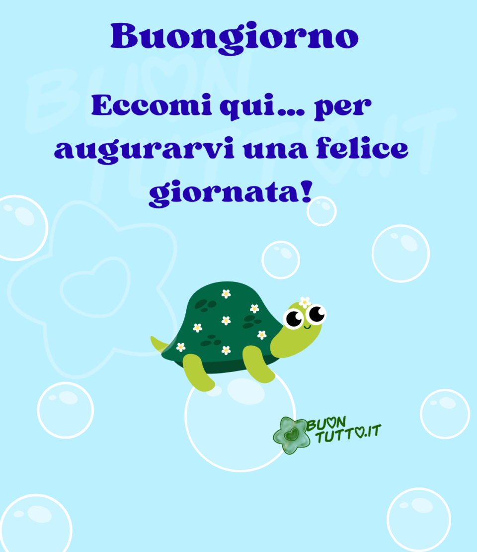 Disegno di un cielo celeste chiaro con  tantissime bolle di sapone di diverse grandezze che volano nell'aria, sopra una di esse c'è una simpatica e dolce tartarughina con dei fiorellini bianchi sul guscio e uno sulla testa. Nella parte alta dell'immagine c'è scritto buongiorno Eccomi qui… per augurarvi una felice giornata! con un punto esclamativo di colore blu e contorno bianco. Una stupenda immagine che trasmette serenità e leggerezza. Una raccolta di nuove bellissime Immagini di Buongiorno da scaricare gratis e condividere con amici parenti gruppi tramite WhatsApp Facebook Twitter Pinterest Telegram Instagram autore buontutto.it