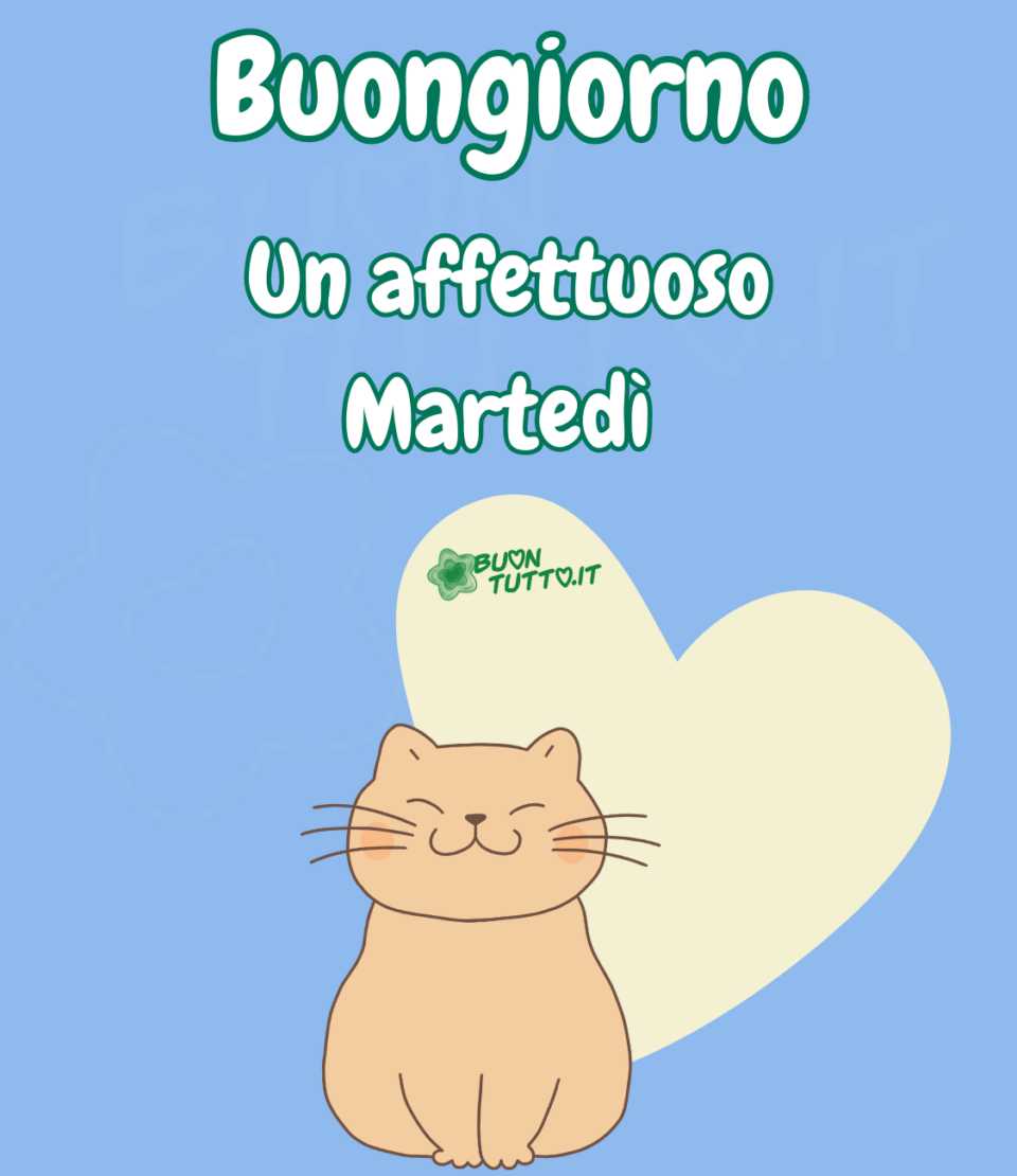 Disegno su uno sfondo azzurro di un tenero gattino dal morbido pelo di colore cremino seduto davanti ha un grande cuore di colore panna. Nella parte alta dell'immagine c'è scritto buongiorno un affettuoso martedì di colore bianco e contorno verde scuro. Un'immagine che trasmette affetto e dolcezza da scaricare gratis e condividere con amici parenti gruppi tramite WhatsApp Facebook Twitter Pinterest Telegram Instagram creata da buontutto.it