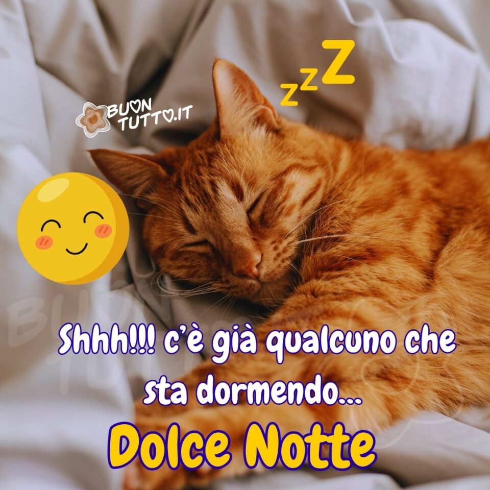 Foto di di un dolce gattino che sta dormendo placidamente sopra una copertina di cotone beige chiaro, nella parte sinistra della foto c'è inserito un dolce emoji con un sorriso lieto e guancette rosa, vicino l'orecchio sinistro del gattino ci sono disegnate tre lettere zeta di diverse grandezze di colore giallo, nella parte bassa dell'immagine c'è scritto shhh con tre punti esclamativi c’è già qualcuno che sta dormendo con tre puntini di colore bianco e contorno blu e infine dolce notte di colore giallo e contorno blu. Un'immagine che esprime dolcezza e affetto da scaricare gratis e condividere con amici parenti gruppi tramite WhatsApp Facebook Twitter Pinterest Telegram Instagram creata da buontutto.it