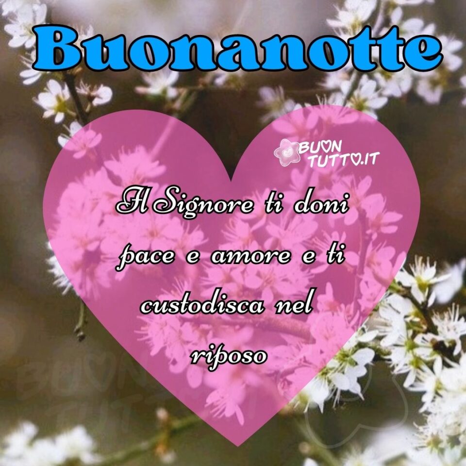 immagini-buonanotte-religiosa-Signore-ti-doni-pace-amore-ti-custodisca-nel-riposo-buontutto Foto di bellissimi rami fioriti e rigogliosi dell'albero di pruno di colore bianco, nel centro della foto c'è disegnato un grandissimo cuore rosa trasparente in cui c'è scritto in un corsivo elegante Il Signore ti doni pace e amore e ti custodisca nel riposo di colore bianco e contorno nero, nella parte alta dell'immagine c'è scritto buonanotte di colore azzurro e contorno nero. Un'immagine che trasmette lietezza e affetto. Una raccolta di nuove bellissime Immagini di Buonanotte religiosa da scaricare gratis e condividere con amici parenti gruppi tramite WhatsApp Facebook Twitter Pinterest Telegram Instagram autore buontutto.it