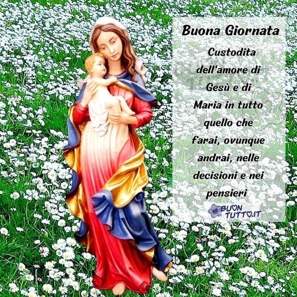 Foto di un bellissimo e incantevole prato di margherite, nella parte sinistra dell'immagine c'è inserita una foto di una statua della Madonna con vestito rosso e il  manto blu e dorato e un velo bianco sulla testa  con in braccio Gesù bambino. Nella parte destra dell'immagine c'è scritto dentro un rettangolo bianco trasparente Buona Giornata custodita dell'amore di Gesù e di Maria in tutto quello che farai, ovunque andrai, nelle decisioni e nei pensieri di colore nero e contorno bianco. Una meravigliosa immagine che trasmette pace e amore. Una raccolta di nuove bellissime Immagini di Buongiorno Religioso da scaricare gratis e condividere con amici parenti gruppi tramite WhatsApp Facebook Twitter Pinterest Telegram Instagram autore buontutto.it