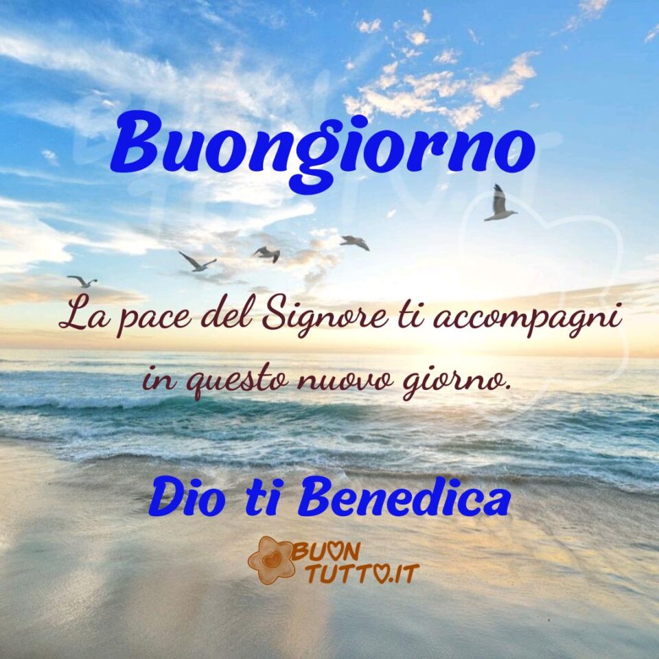 Foto di una meravigliosa alba che illumina la sabbia e le acque cristalline del mare in un cielo terso dove stanno volando dei bellissimi gabbiani. Nel centro dell'immagine c'è scritto Buongiorno di colore bluette, La pace del Signore ti accompagni in questo nuovo giorno. di colore marrone, Dio ti benedica di colore bluette. Una spettacolare immagine che esprime pace e serenità. Una raccolta di nuove bellissime Immagini di Buongiorno Religioso da scaricare gratis e condividere con amici parenti gruppi tramite WhatsApp Facebook Twitter Pinterest Telegram Instagram autore buontutto.it