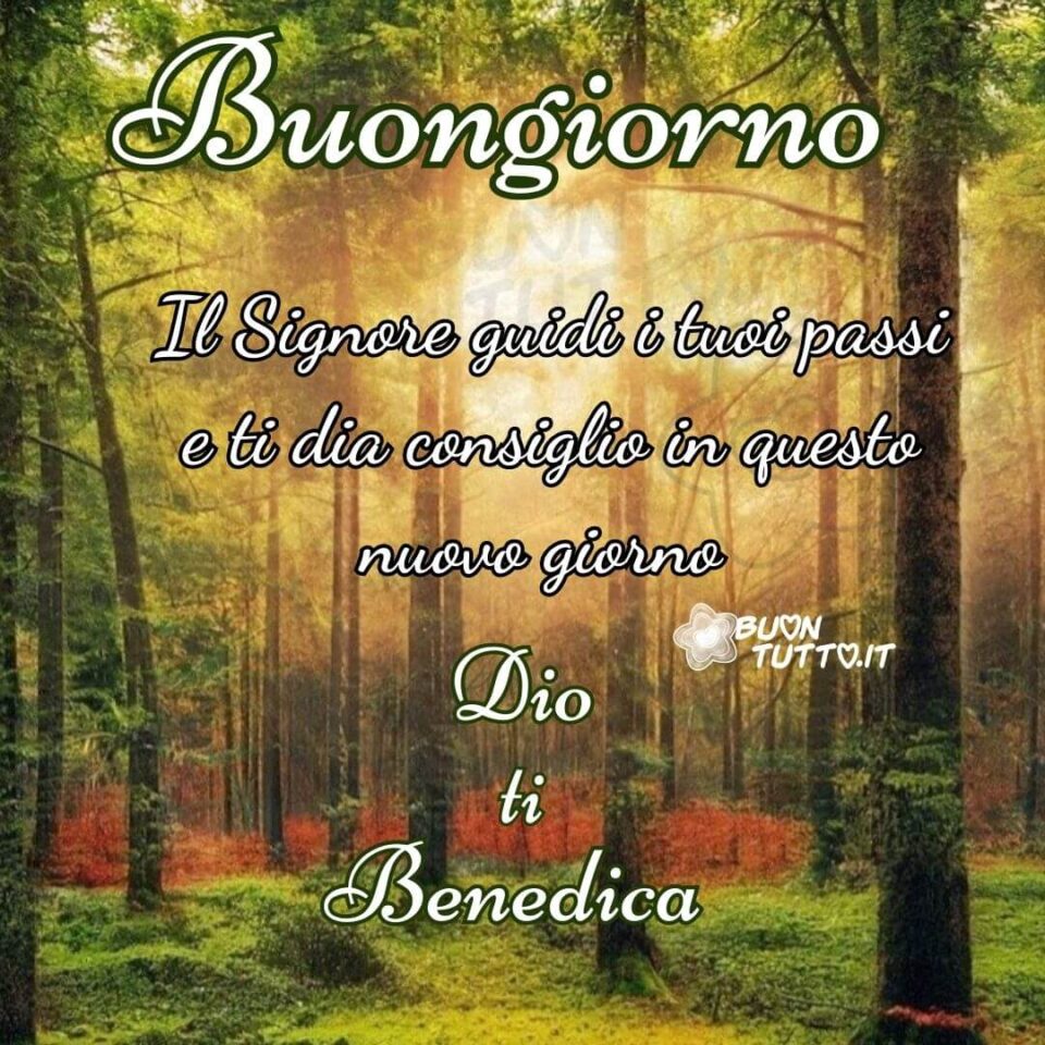 Foto di un magnifico e incantevole bosco che sembra uscito da una favola. Nella parte alta dell'immagine c'è scritto in un corsivo elegante Buongiorno di colore bianco e contorno verde scuro, nella parte centrale Il Signore guidi i tuoi passi e ti dia consiglio in questo nuovo giorno. Dio ti benedica di colore bianco e contorno nero e infine nella parte bassa Dio ti benedica di colore bianco e contorno verde scuro. Un'immagine che trasmette bellezza e vitalità e tanta positività da scaricare gratis e condividere con amici parenti gruppi tramite WhatsApp Facebook Twitter Pinterest Telegram Instagram autore buontutto.it