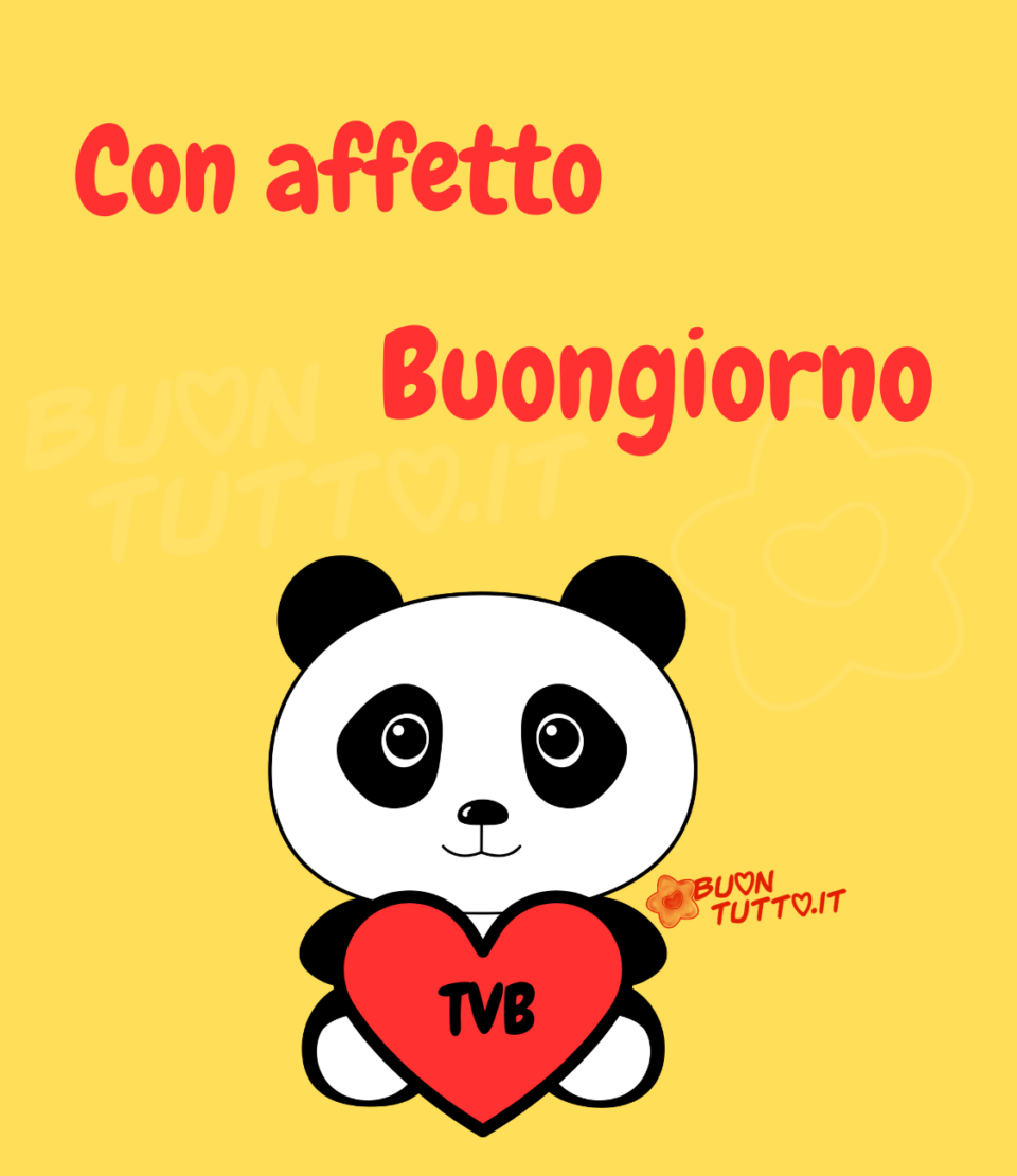 Disegno su uno sfondo giallo di un dolcissimo panda che sta tenendo tra le zampine anteriori un cuore rosso con il contorno nero, al suo interno ci sono scritte le lettere TVB di colore nero. Nella parte alta dell'immagine c'è scritto con affetto buongiorno di colore rosso. Un'immagine che trasmette affetto e amicizia e tenerezza. Una raccolta di nuove bellissime Immagini di Buongiorno da scaricare gratis e condividere con amici parenti gruppi tramite WhatsApp Facebook Twitter Pinterest Telegram Instagram autore buontutto.it