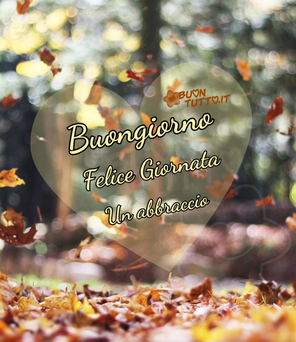 Una bellissima foto di un paesaggio autunnale con effetto bokeh al centro dell'immagine c'è disegnato un grande cuore giallo chiaro trasparente, al suo interno c'è scritto in un carattere corsivo elegante buongiorno felice giornata un abbraccio di colore giallo chiaro e contorno nero. Una magnifica immagine dall'atmosfera sognante. Una raccolta di nuove bellissime immagini di buongiorno autunnale da scaricare gratis e condividere con amici parenti gruppi tramite WhatsApp Facebook Twitter Pinterest Telegram Instagram creata da buontutto.it