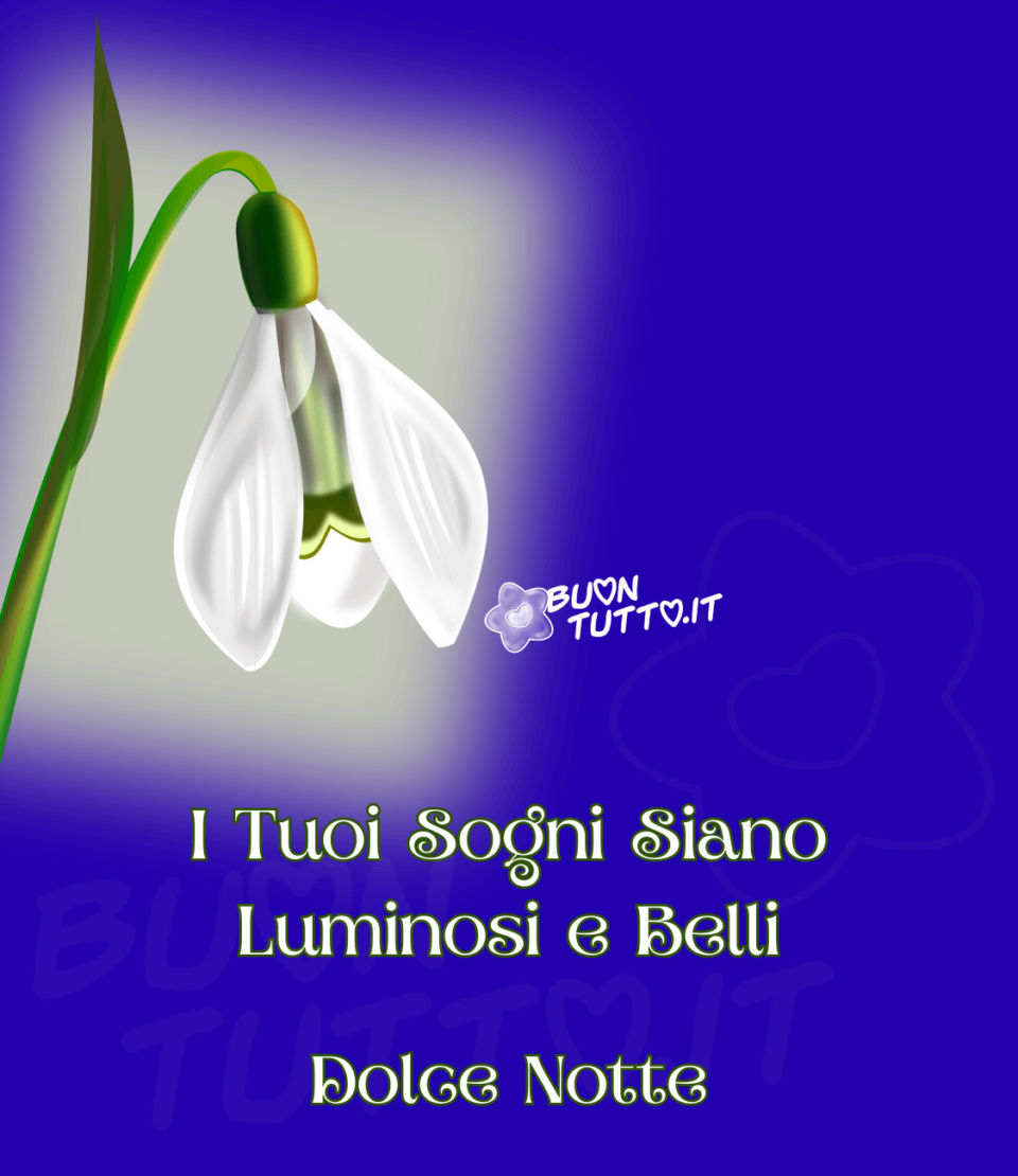 Disegno su uno sfondo blu-viola di un fiore a campanella di colore bianco con un effetto luminoso di colore bianco, verde chiaro e viola da sembrare una bajour. Nella parte bassa dell'immagine c'è scritto in un carattere con ghirigori, i tuoi sogni siano luminosi e belli, dolce notte di colore bianco e contorno verde scuro. Un'immagine che trasmette serenità e bellezza da scaricare gratis e condividere con amici parenti gruppi tramite WhatsApp Facebook Twitter Pinterest Telegram Instagram creata da buontutto.it