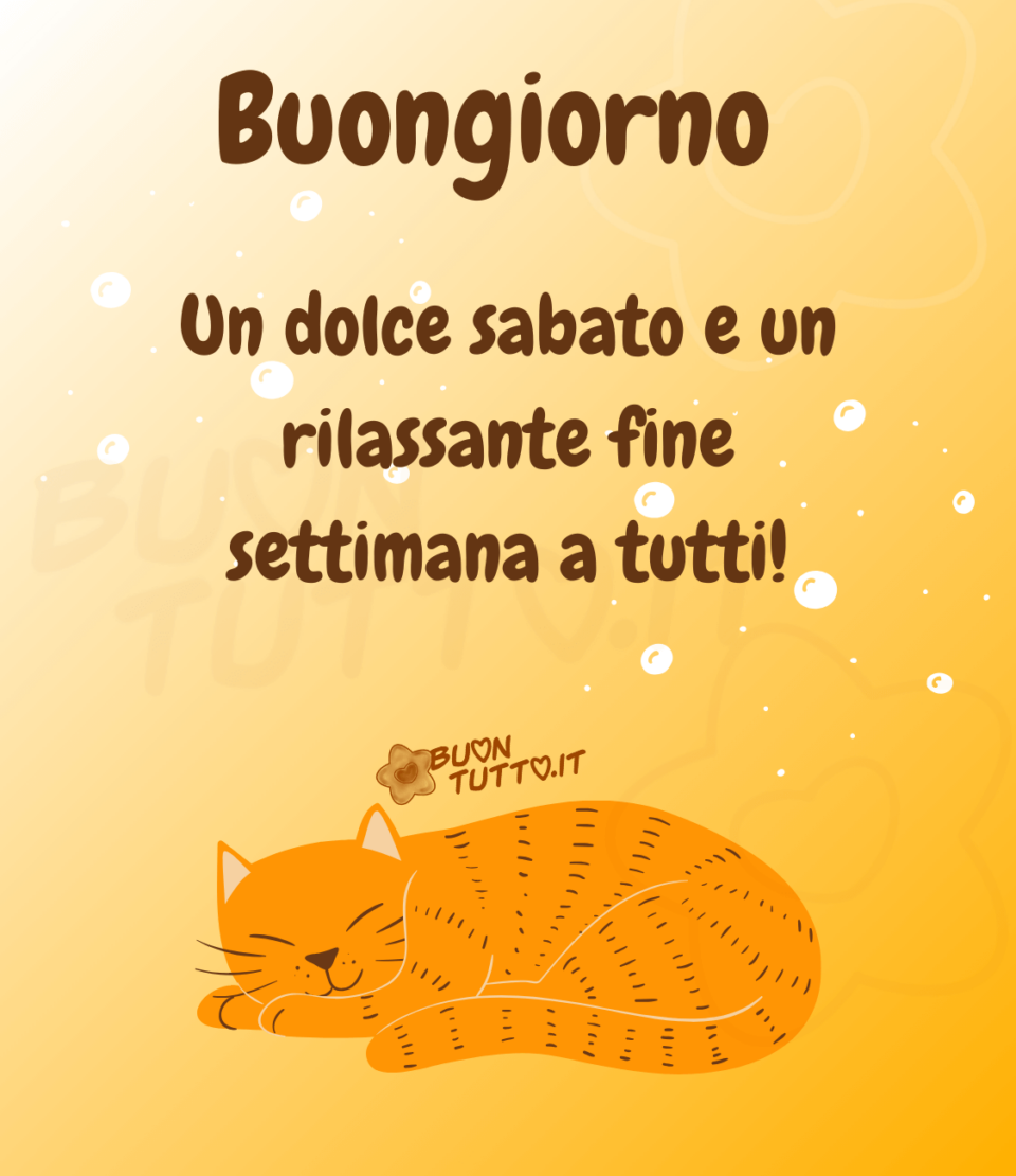 Disegno su uno sfondo alle tinte arancioni con piccole bolle di colore bianco di un tenero gatto che si sta rilassando tutto rannicchiato con il dolce musetto dal tenero sorriso. Nella parte alta dell'immagine c'è scritto di colore marrone, buongiorno un sereno sabato e un rilassante fine settimana a tutti con un punto esclamativo. Un'immagine che trasmette serenità e relax da scaricare gratis e condividere con amici parenti gruppi tramite WhatsApp Facebook Twitter Pinterest Telegram Instagram autore buontutto.it