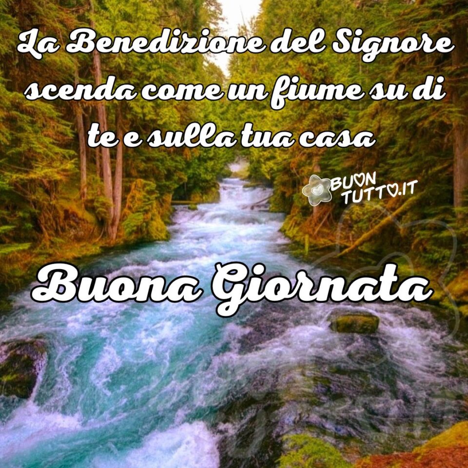 Foto di un magnifico e meraviglioso fiume che attraversa uno stupendo incantevole bosco una bellissima immagine che esprime la bellezza e la forza della natura. Nella parte alta dell'immagine c'è scritto in un carattere corsivo di colore bianco e contorno nero La benedizione del Signore scenda come un fiume su di te e sulla tua casa, nella parte centrale dello stesso carattere e colore c'è scritto Buona giornata. Un'immagine che trasmette benedizione, bellezza e forza da scaricare gratis e condividere con amici parenti gruppi tramite WhatsApp Facebook Twitter Pinterest Telegram Instagram autore buontutto.it