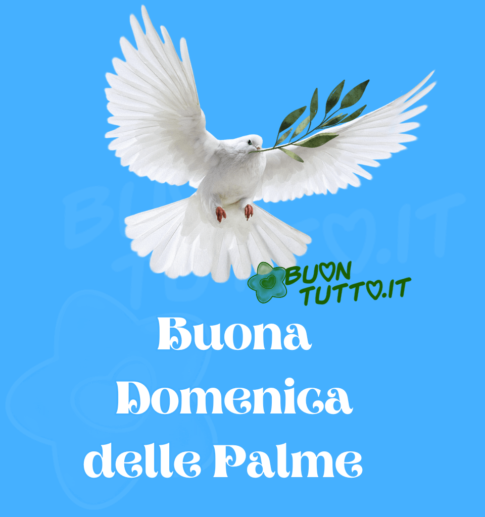 immagini-buona-domenica-palme-da-scaricare-condividere-gratis-colomba-ulivo-bellissima-buontutto Su uno sfono azzurro luminoso c'è inserita la foto di una maestosa colomba con le ali aperte e nel becco un ramoscello d'ulivo che sta planando . Nella parte bassa dell'immagine c'è scritto di colore bianco Buona Domenica delle Palme. Una meravigliosa immagine che tramette in pieno La tradizione della Domenica delle Palme, ovvero, di portare pace. Da scaricare gratis e condividere con amici, parenti, gruppi e su tutte le tue piattaforme social preferite creata da buontutto.it