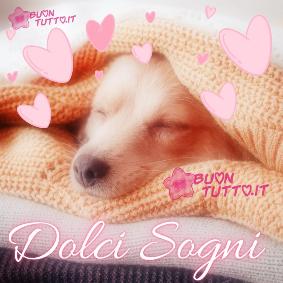 immagine-di-buonanotte-dolci-sogni-cagnolino-dorme-morbidosa-coperta-cuori-scaricare-gratis-buontutto un foto di un tenero cagnolino che spunta con il suo musetto da una morbidosa coperta con tanti cuori rosa nella parte alta dell'immagine, per augurare dolci sogni una raccolta di nuove bellissime Immagini di Buonanotte da scaricare gratis e condividere con amici parenti gruppi tramite WhatsApp Facebook Twitter Pinterest Telegram Instagram create da buontutto.it