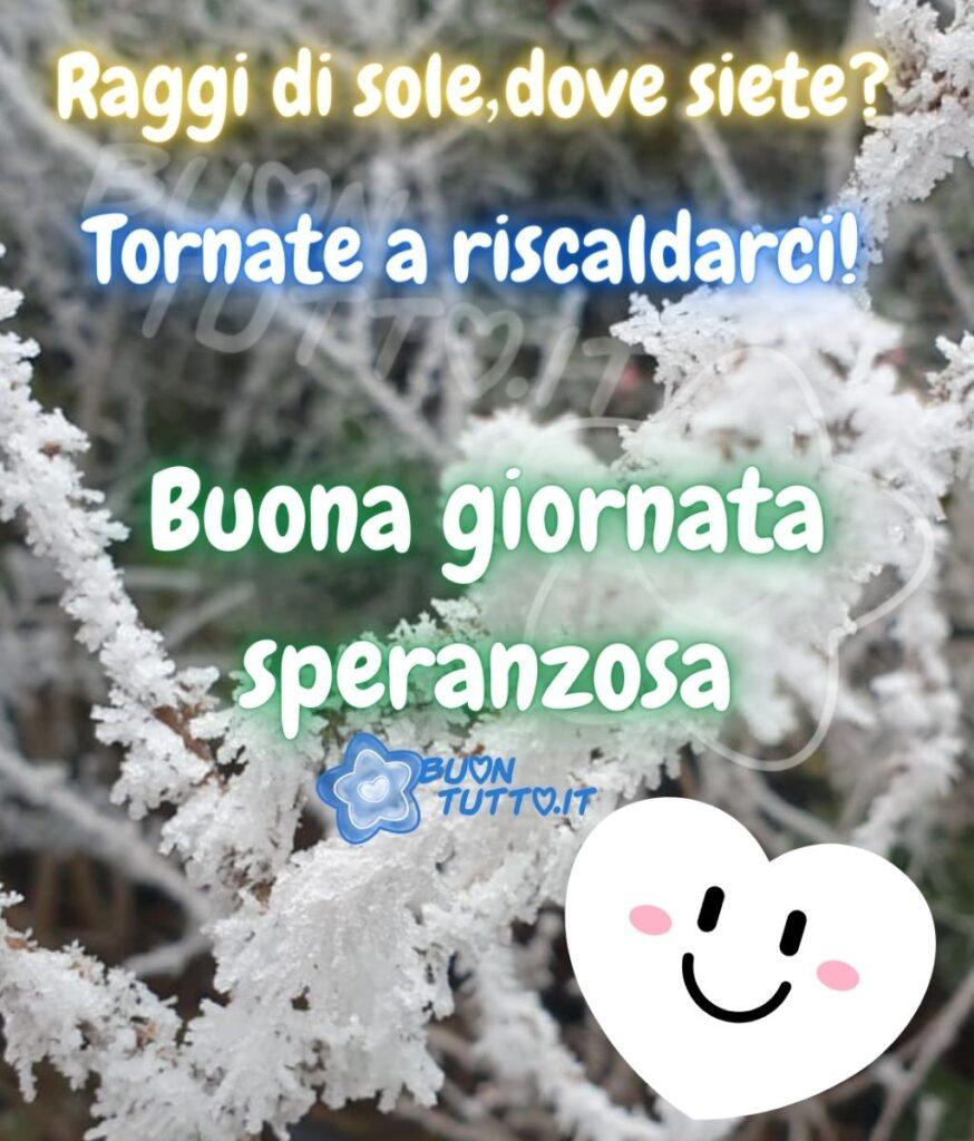 foto di un ramo ghiacciato con un cuore con faccina sorridente con scritto Raggi di sole dove siete? Tornate a riscaldarci! Buona giornata speranzosa! Una raccolta di nuove bellissime Immagini di Buongiorno Invernale da scaricare gratis e condividere con amici parenti gruppi tramite WhatsApp Facebook Twitter Pinterest Telegram Instagram autore  buontutto.it