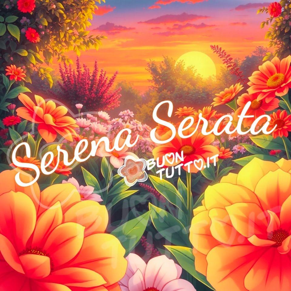 buona-serena-serata-tramonto-fiori-colorati-immagini-gratis-da-scaricare-condividere-auguri-sereni-natura-tramonti-bellissima-romantica-elegante-buonanotte
