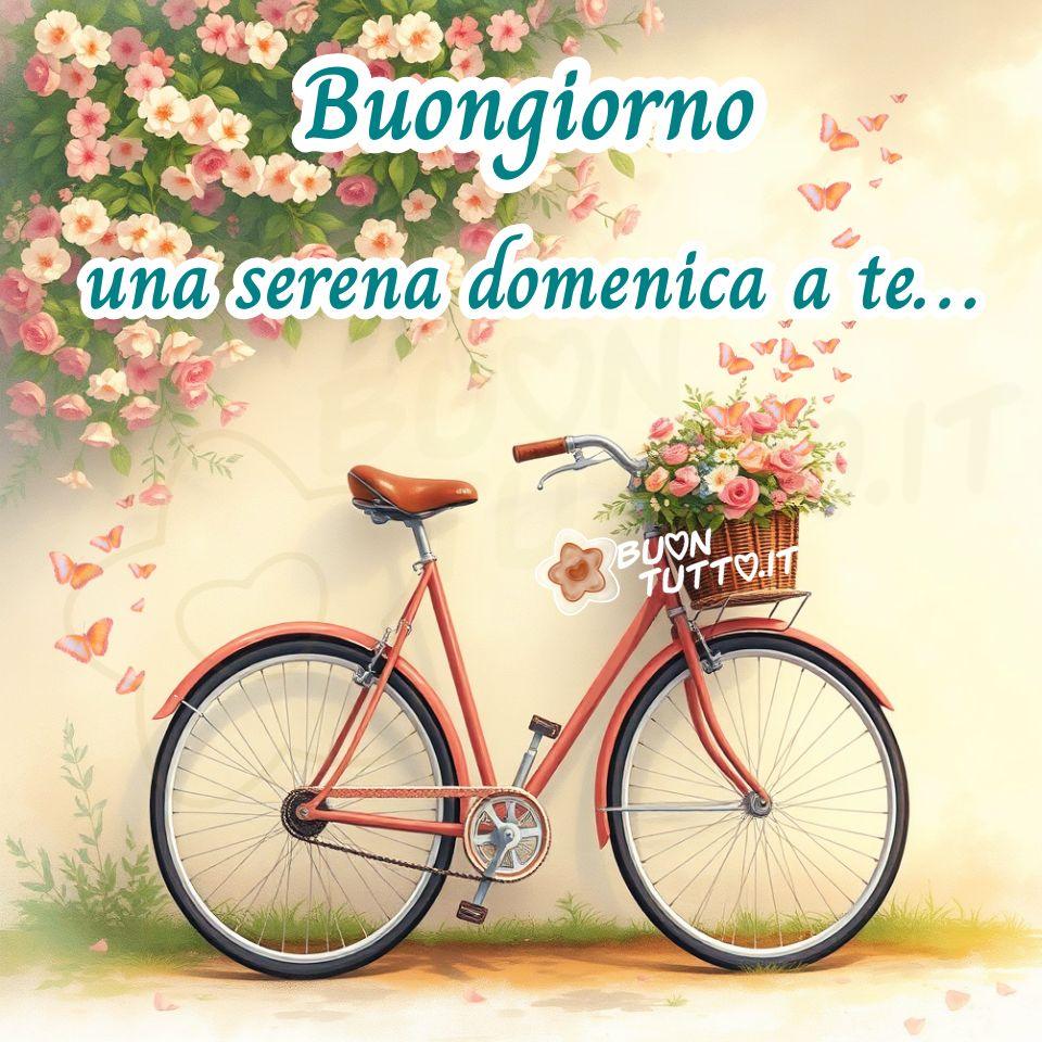buongiorno-buona-domenica-serena-immagini-gratis-bicicletta-vintage-fiori-farfalle-scaricare-condividere-auguri-frase-positiva-bellissima-buontutto
