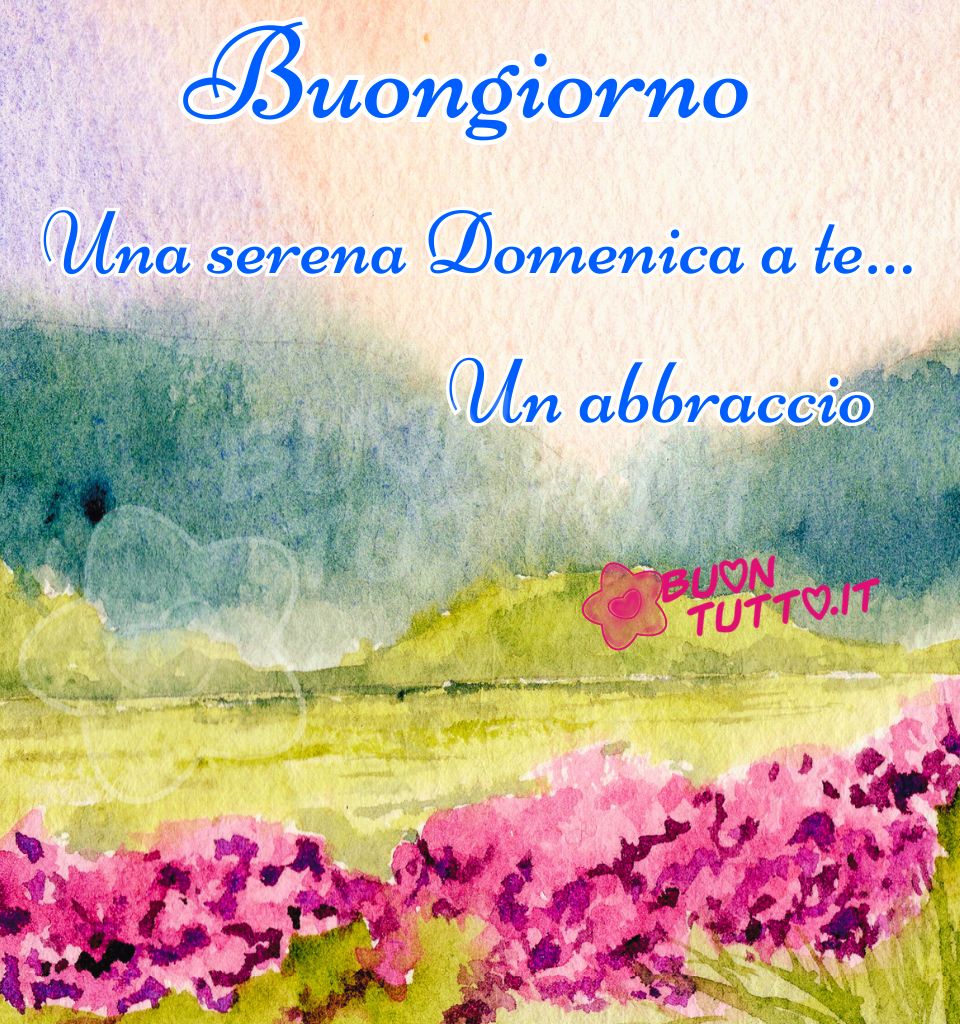 Immagine acquerellata che raffigura un prato luminoso con splendide ortensie fucsia in primo piano. Nella parte alta compare la frase 'Buongiorno Una Serena Domenica a te… Un abbraccio' in carattere corsivo azzurro con contorno bianco. L'immagine trasmette serenità, bellezza e pace, ideale per augurare una domenica tranquilla e per essere condiviso sui social.
Autore: BuonTutto.it