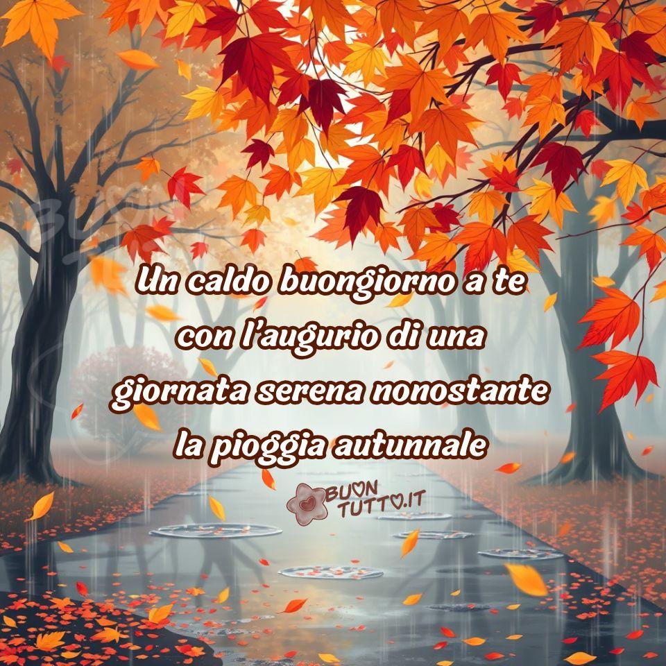 immagini-buongiorno-con-la-pioggia-frase-positiva-saluto-viale-alberato-autunnale-suggetivo-bellissimo-colorato-scaricare-gratis-buontutto