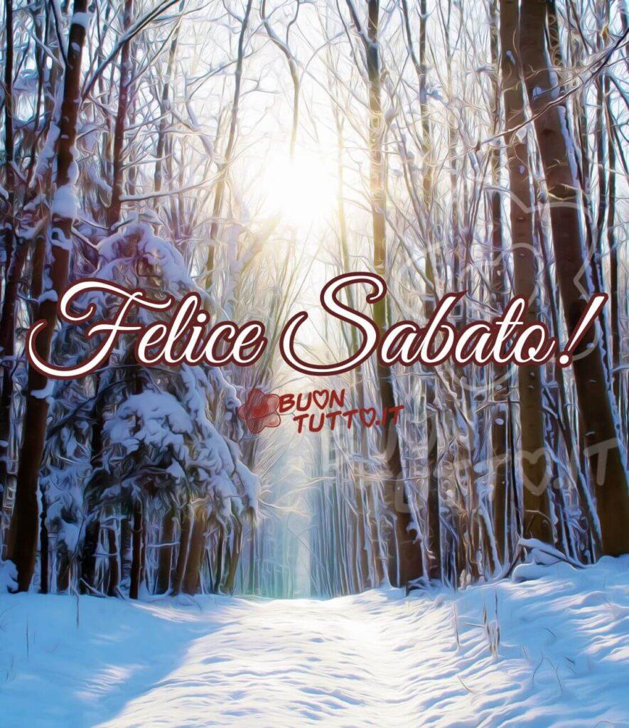 immagini-di-buon-felice-sabato-buongiorno-bellissimo-bosco-innevato-relax-scaricare-gratis-buontutto Foto di una bellissima alba su una maestosa foresta innevata. Nella parte centrale dell’immagine compare la scritta, in elegante corsivo bianco con un brillante contorno marrone: Felice Sabato! Uno splendido scatto di una foresta incantata, illuminata dalla luce dorata di una stupenda alba. Gli alberi, altissimi e imponenti, hanno i rami completamente coperti di neve, mentre il sentiero che conduce nel cuore della foresta è avvolto da un morbido tappeto di neve soffice e candida. Una raccolta di nuove bellissime immagini di Buon Sabato da scaricare gratis e condividere con amici, cari, familiari, parenti gruppi tramite WhatsApp, Facebook, X Twitter, Pinterest, Telegram, LinkedIn, Instagram e le tue piattaforme social preferite. Autore BuonTutto.it