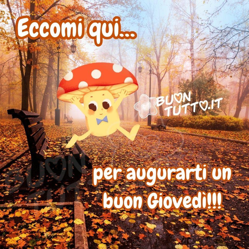 Su una stupenda foto di un viale alberato ricoperto dal foliage autunnale con panchine in legno di colore marrone c'è disegnato uno sbarazzino e dolce funghetto con un simpatico papillon, di colore celeste, che sta saltando dalla panchina sulla strada. Nella parte alta dell'immagine c'è scritto di colore bianco e contorno arancione Eccomi qui..., nella parte bassa dello stesso colore e carattere per augurarvi un buon giovedì!!! Un'immagine simpatica che trasmette allegria, bellezza e serenità da scaricare gratis e condividere con amici, parenti, familiari, gruppi e su tutte le tue piattaforme social preferite creata da buontutto.it