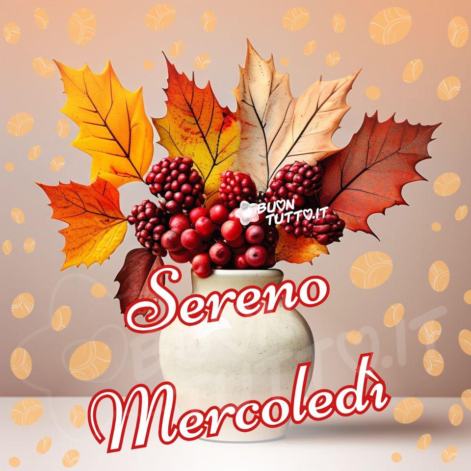 immagini-di-buon-sereno-mercoledi-vaso-composizione-pigne-foglie-bacche-elegante-bellissima-scaricare-gratis-buontutto