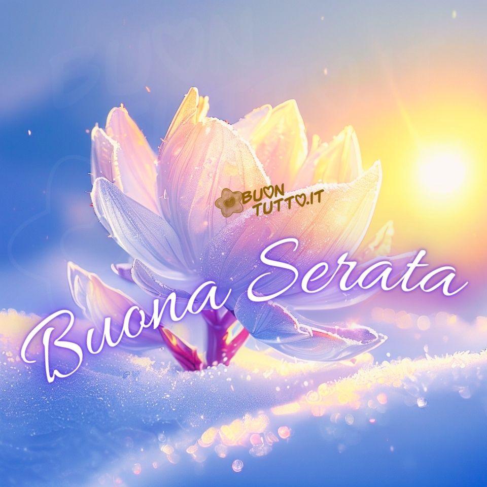 immagini-di-buona-serata-invernale-bellissima-fiore-loto-petali-brinati-neve-sognante-accogliente-elegante-scaricare-gratis-buontutto
