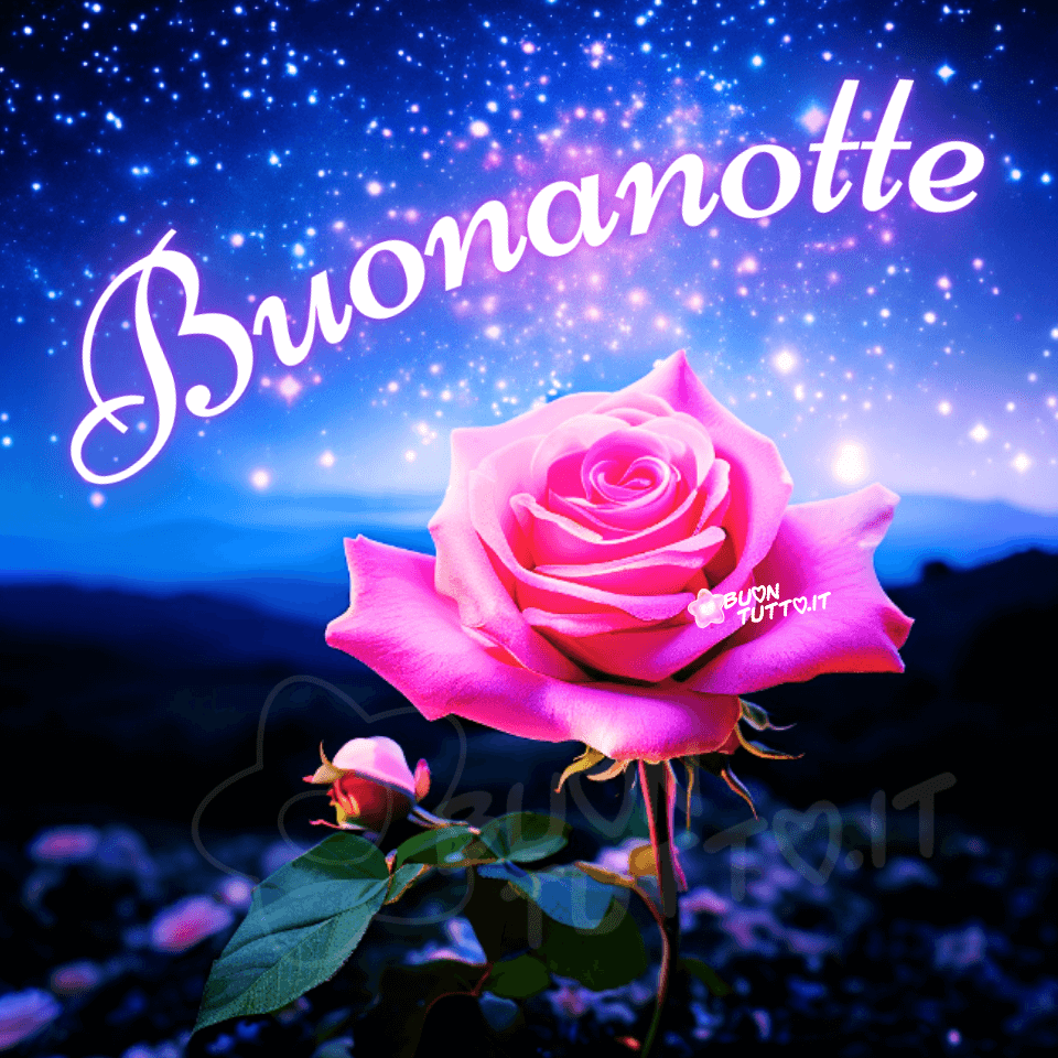 Foto in primo piano di una splendida rosa di colore rosa in piena fioritura, con un bocciolo più piccolo visibile sotto, sullo sfondo un suggestivo cielo stellato luminoso e scintillante e sagoma di terra e delle montagne in lontananza all'orizzonte. I colori sono vivaci, con la rosa in una tonalità di rosa predominante e il cielo di un blu intenso con numerose stelle che brillano illuminando il paesaggio notturno. Nella parte alta dell'immagine c'è scritto in forma semi-circolare in un carattere corsivo elegante di colore bianco luminoso e contorno blu notte Buonanotte. Un'immagine nuova e bellissima che trasmette meraviglia, stupore, eleganza, romanticismo, armonia e tranquillità da scaricare gratis e condividere con amici, cari, familiari, parenti gruppi tramite WhatsApp, Facebook, X Twitter, Pinterest, Telegram, LinkedIn, Instagram e le tue piattaforme social preferite. Autore buontutto.it 