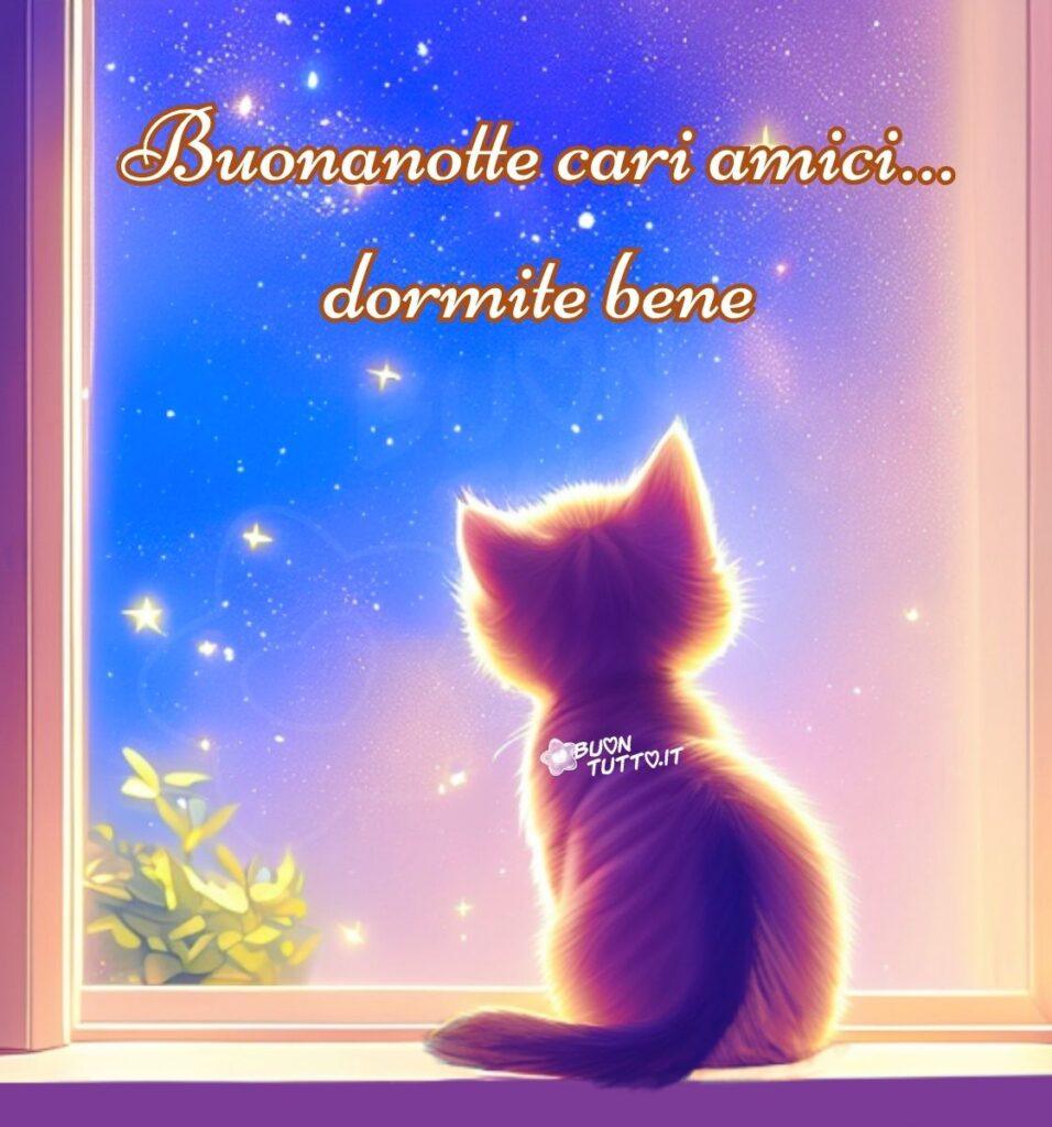 immagini-di-buonanotte-cari-amici-gattino-dormite-bene-affettuosa-cielo-stellato-finestra-elegante-bellissima-scaricare-gratis-buontutto