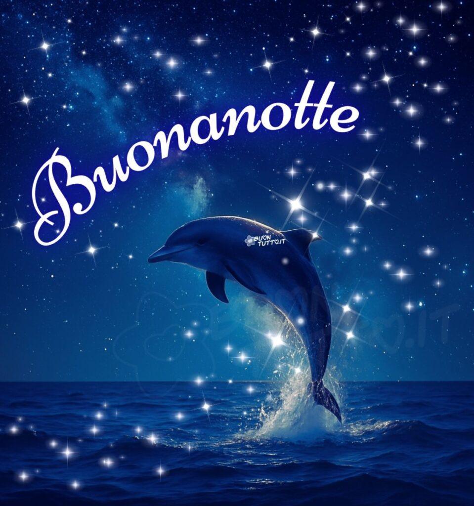 immagini-di-buonanotte-delfino-mare-cielo-stellato-notturna-elegante-bellissima-scaricare-gratis-buontutto Foto di un maestoso e splendido delfino che salta elegantemente nell’acqua sollevando una cascata di spruzzi cristallini che brillano come polvere di stelle. Il mare è calmo e di un profondo blu intenso, il cielo è costellato da una miriade di stelle scintillanti che sembrano illuminare la meravigliosa acrobazia del delfino. Su tutta l’immagine ci sono inseriti deu punti luce che donano un’atmosfera fiabesca e romantica. Nella parte alta dell'immagine c'è scritto in forma semi-circolare in un carattere corsivo elegante bombato di colore bianco Buonanotte. Un'immagine che trasmette bellezza, libertà, serenità, dolcezza, pace, forza e stupore per la meraviglia della natura da scaricare gratis e condividere con amici, cari, familiari, parenti gruppi tramite WhatsApp, Facebook, X Twitter, Pinterest, Telegram, LinkedIn, Instagram e le tue piattaforme social preferite. Autore BuonTutto.it