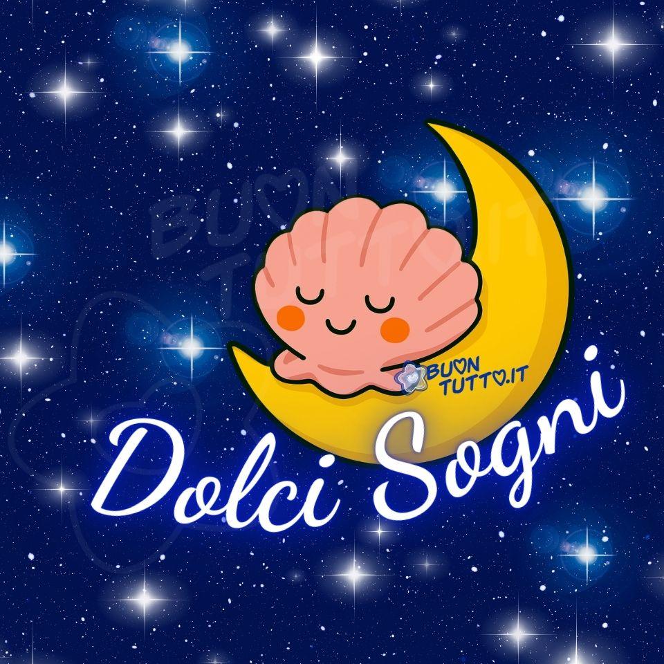 immagini-di-buonanotte-dolci-sogni-conchiglia-sorridente-luna-cielo-stellato-affettuosa-cartoon-bellissima-scaricare-gratis-buonututto