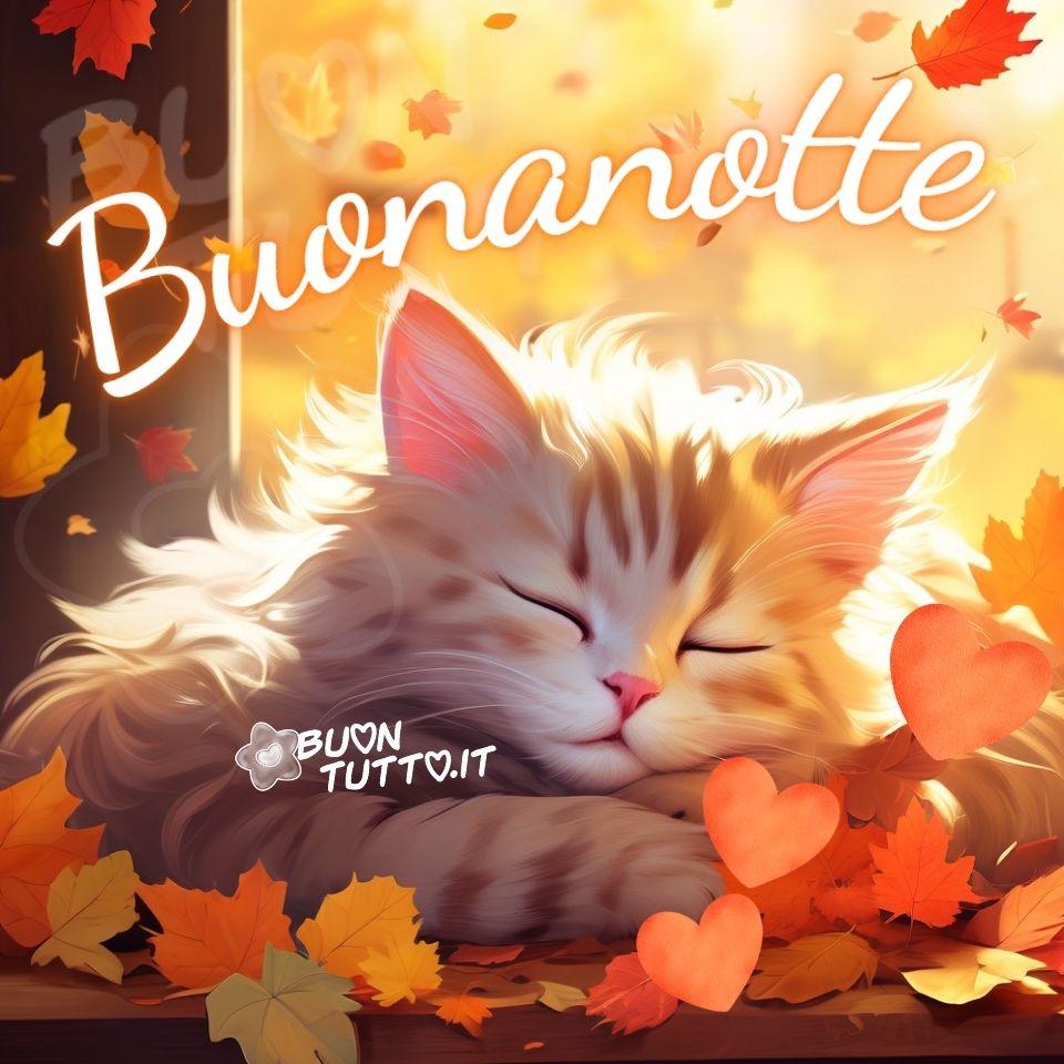 immagini-di-buonanotte-gattino-dorme-teneramente-foglie-autunnali-colori-caldi-autunno-bellissima-nuove-scaricare-gratis-buontutto