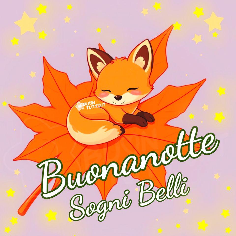 immagini-di-buonanotte-sogni-belli-dolce-volpina-foglia-acero-stelline-luminoso-affettuosa-positiva-bellissima-scaricare-gratis-buontutto